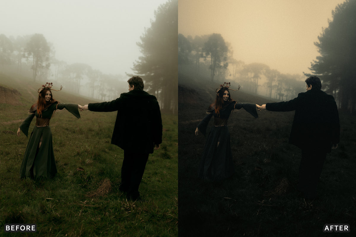 Gothic Romance Lightroom Presets before and after photo example 11