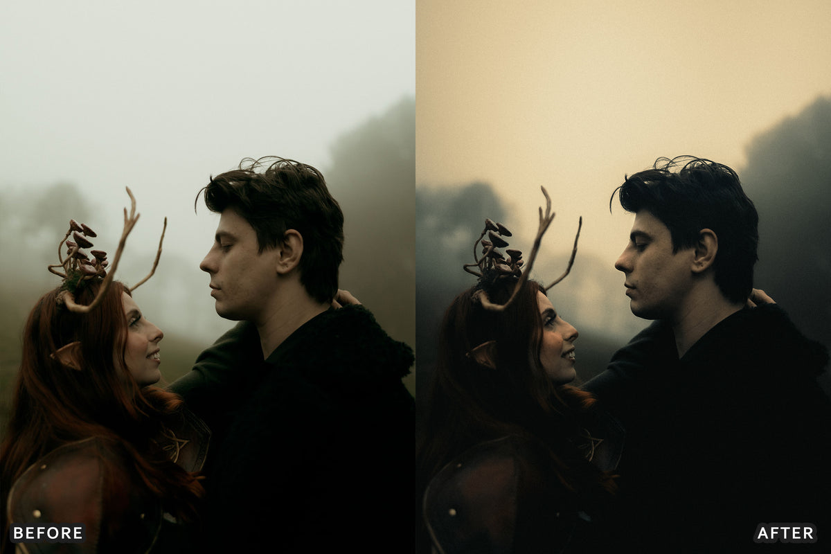 Gothic Romance Lightroom Presets before and after photo example 12