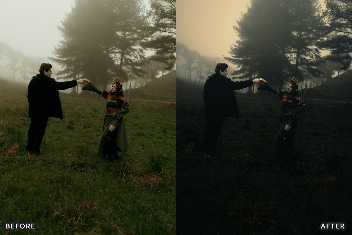 Gothic Romance Lightroom Presets before and after photo example 14