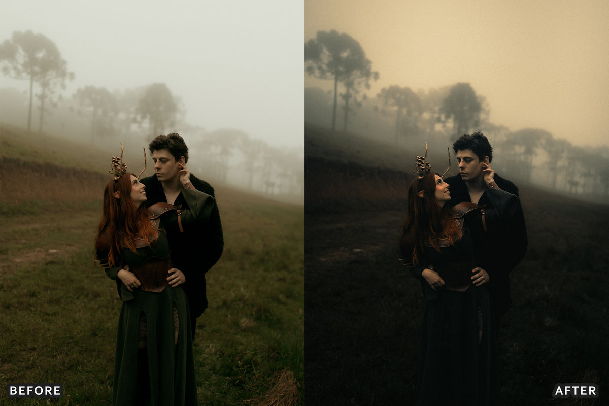 Gothic Romance Lightroom Presets before and after photo example 18
