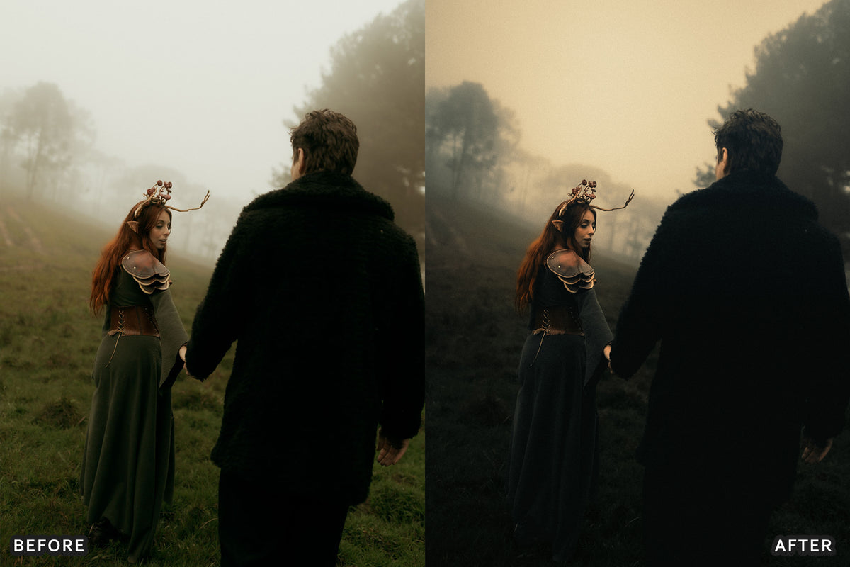 Gothic Romance Lightroom Presets before and after photo example 19