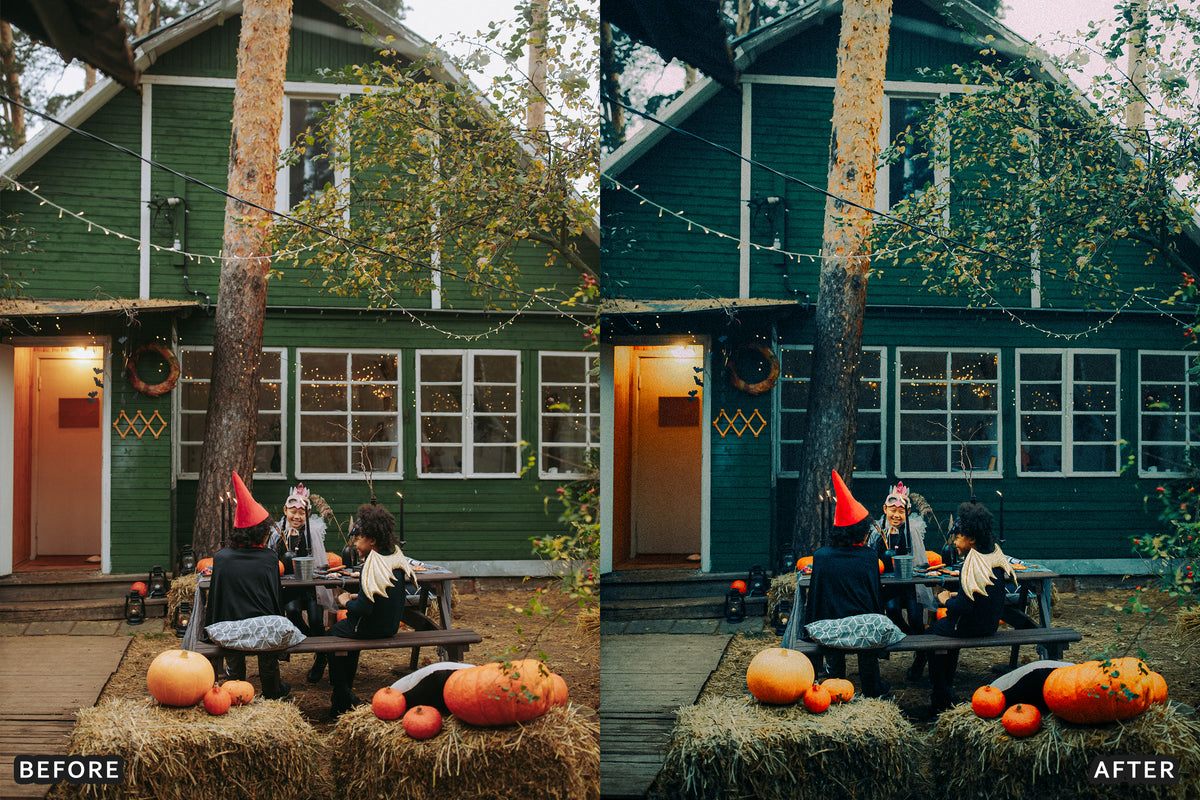 Halloween Flash Party Lightroom Presets before and after photo example 09