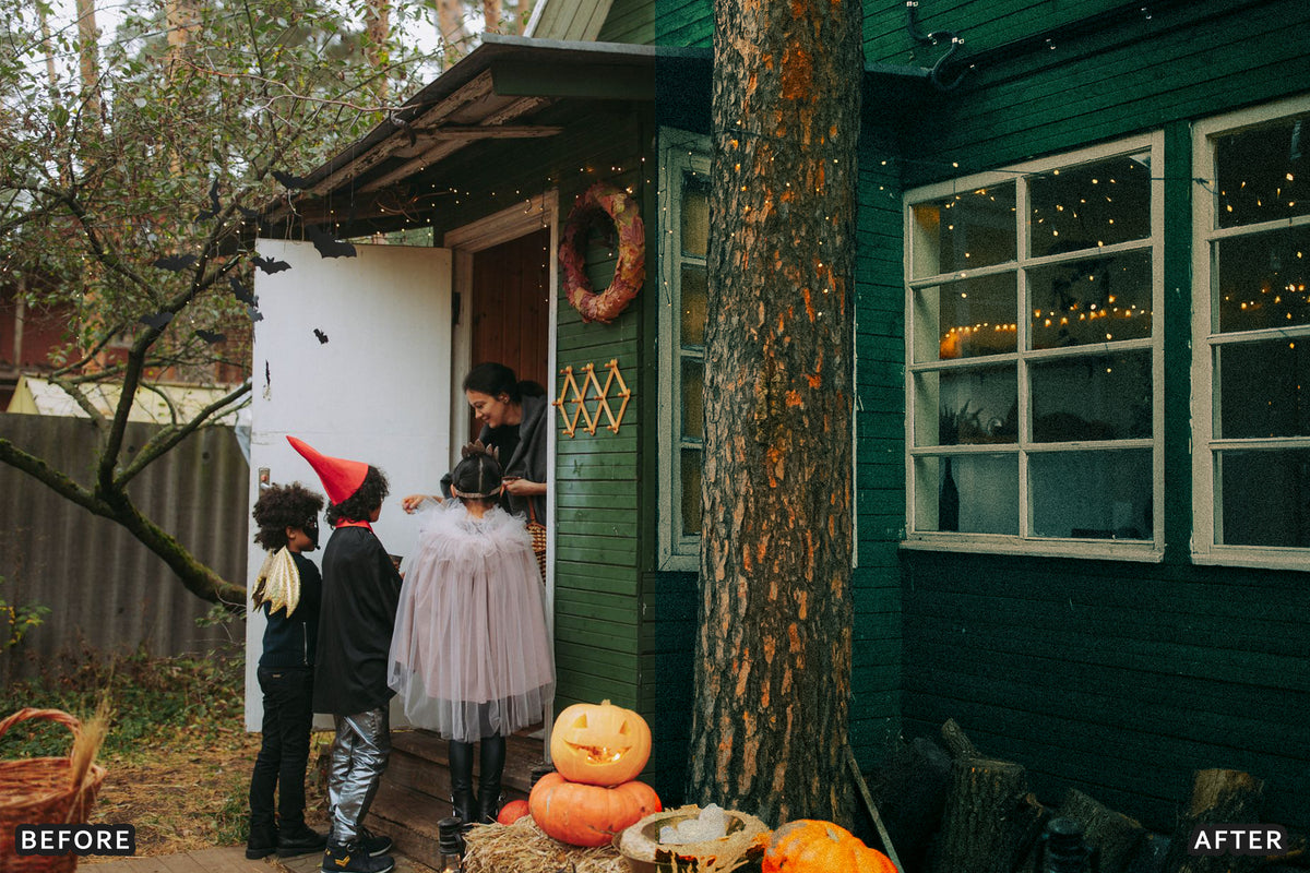 Halloween Flash Party Lightroom Presets before and after photo example 14