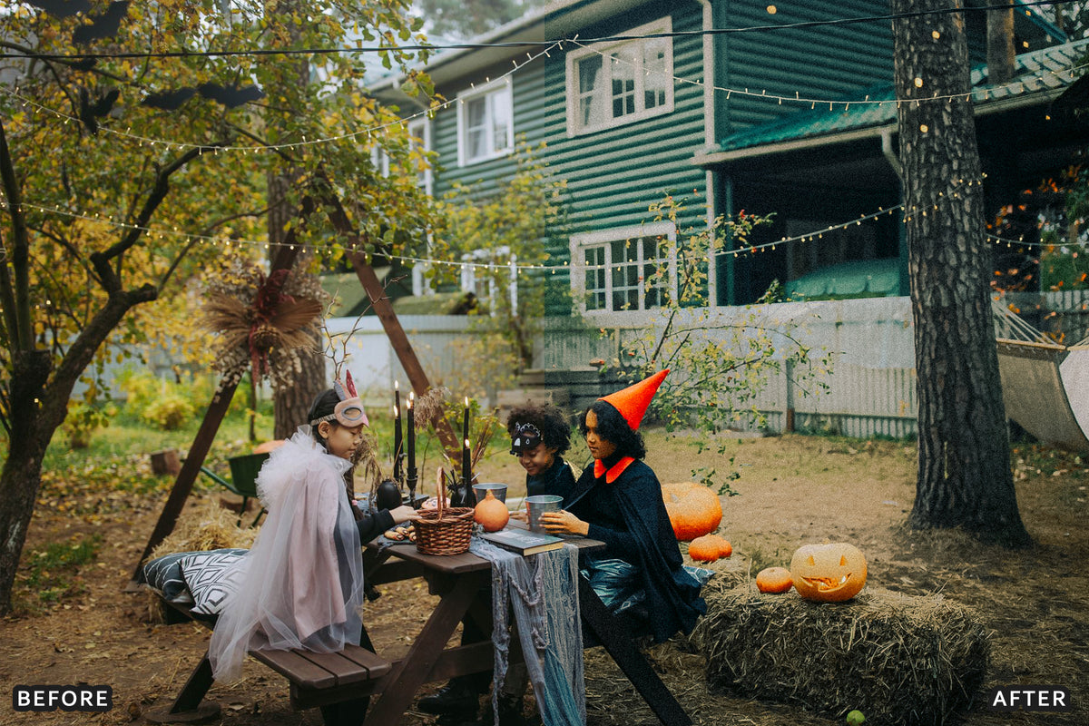 Halloween Flash Party Lightroom Presets before and after photo example 17