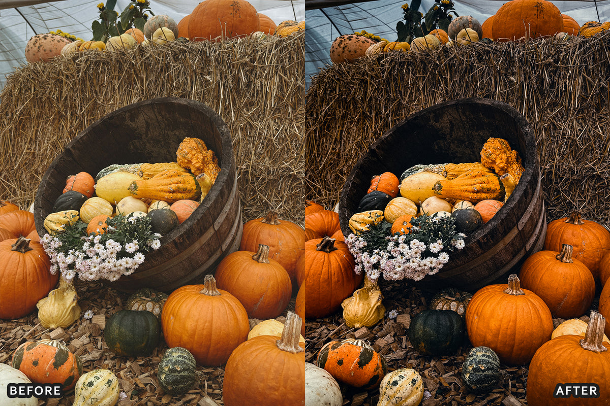 Harvest Farm Lightroom Presets before and after photo example 11