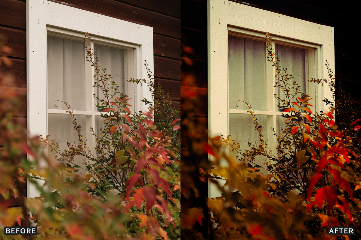 AI-Optimized Misty Autumn Forest Lightroom Presets