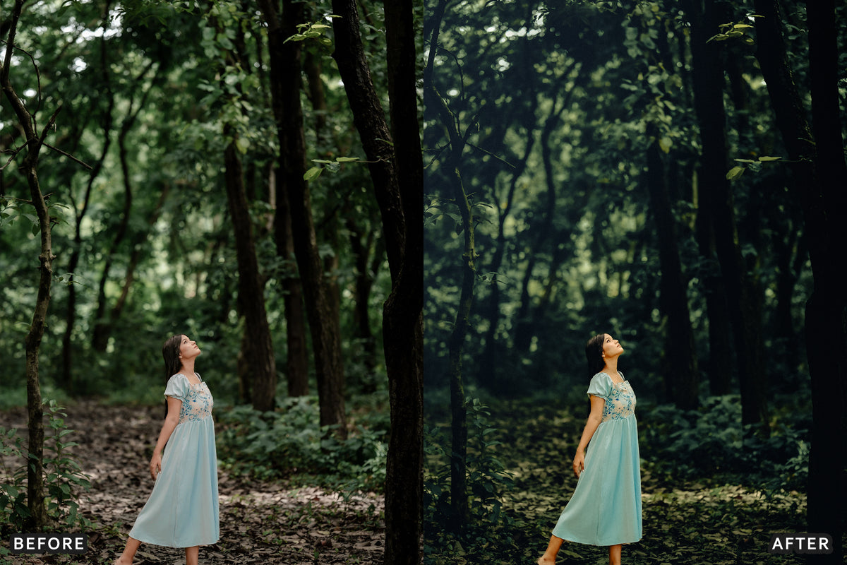 AI-Optimized Olive Suede Lightroom Presets