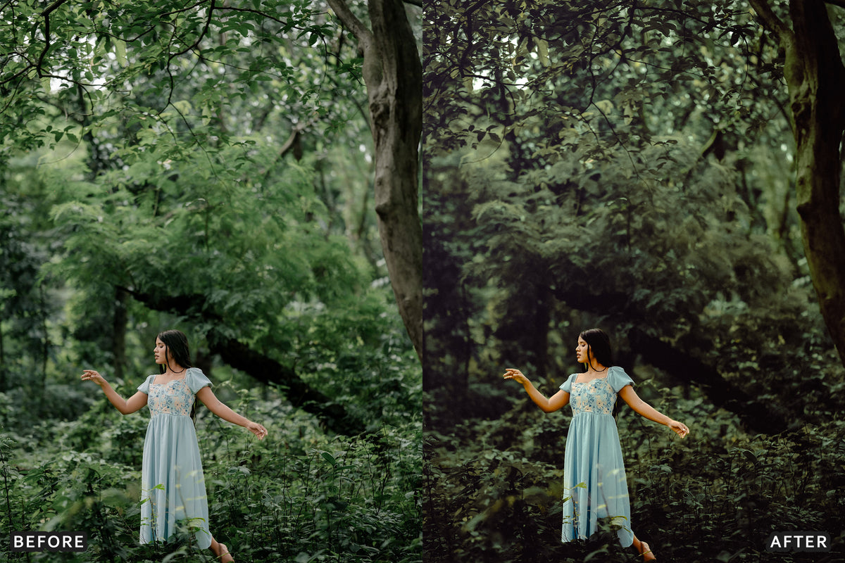 AI-Optimized Olive Suede Lightroom Presets