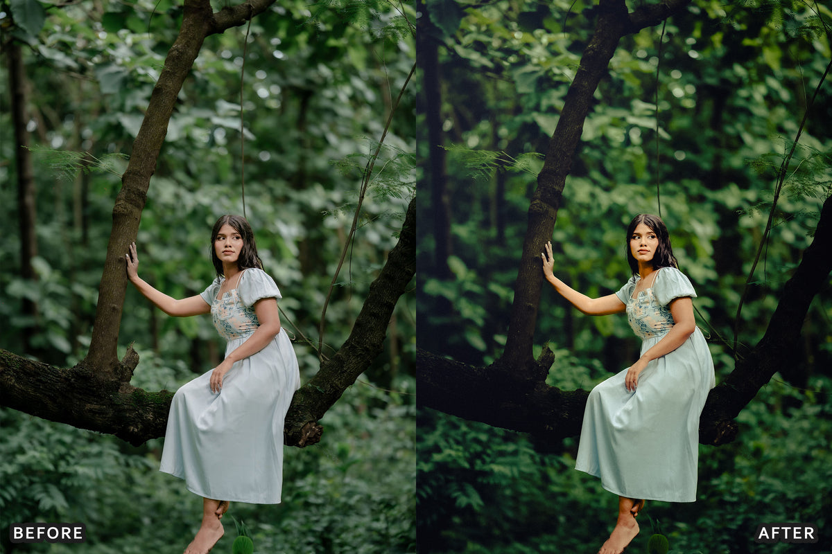 AI-Optimized Olive Suede Lightroom Presets