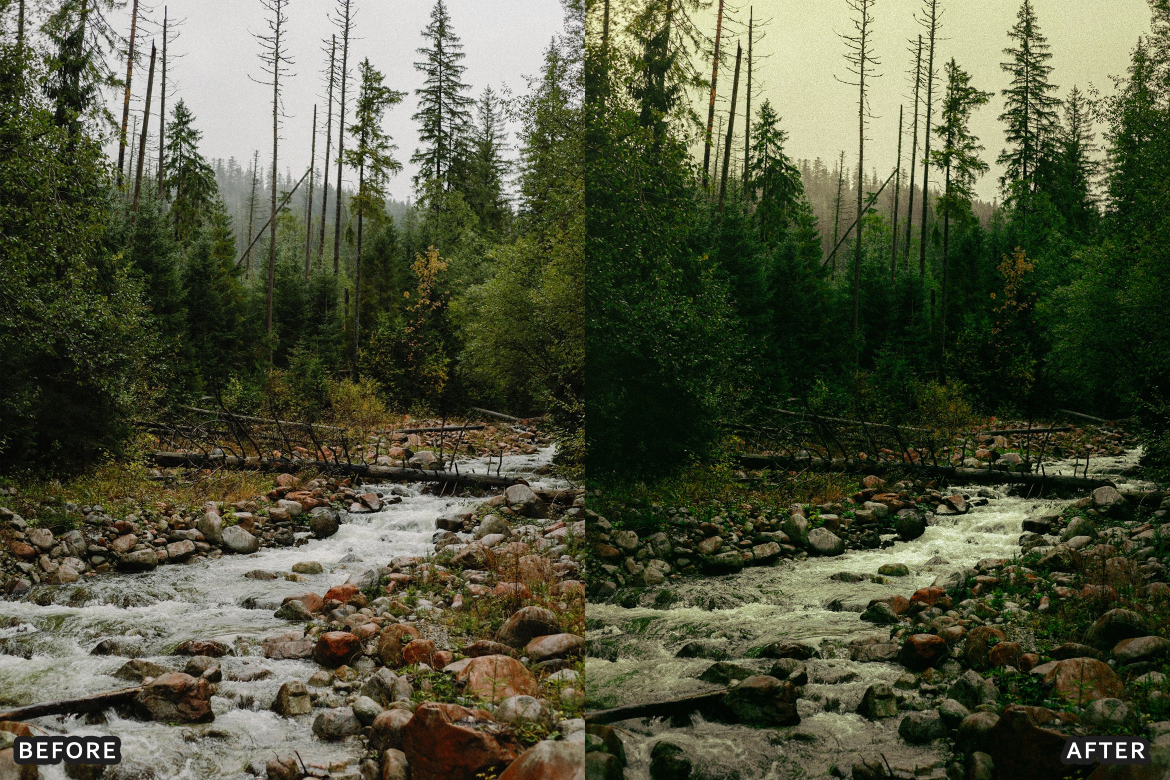 AI-Optimized Soft Nature Air Lightroom Presets