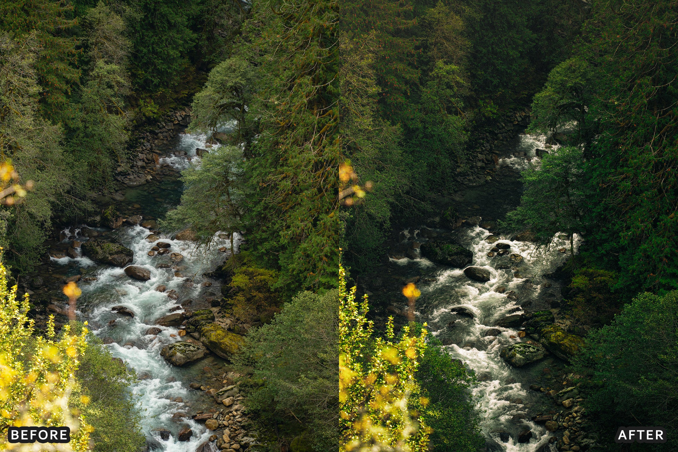 AI-Optimized Soft Nature Air Lightroom Presets