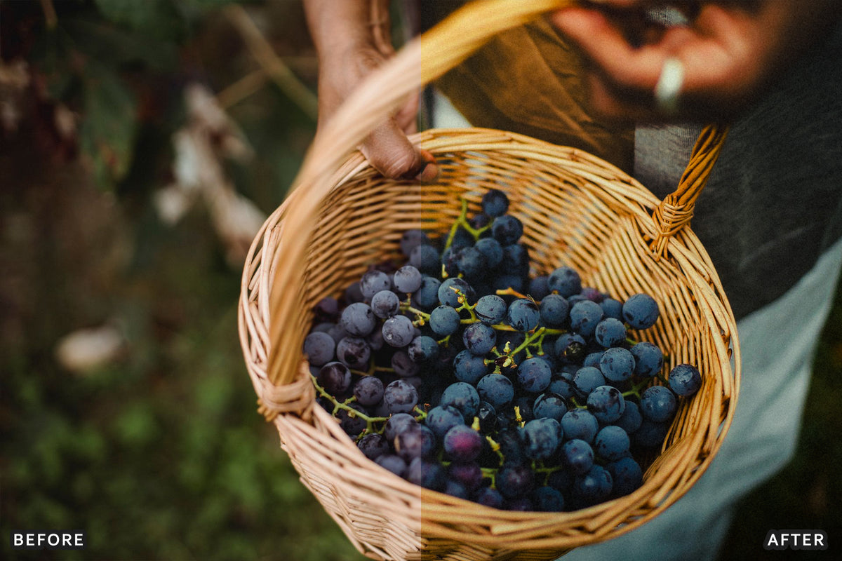 AI-Optimized Vineyard Harvest Lightroom Presets