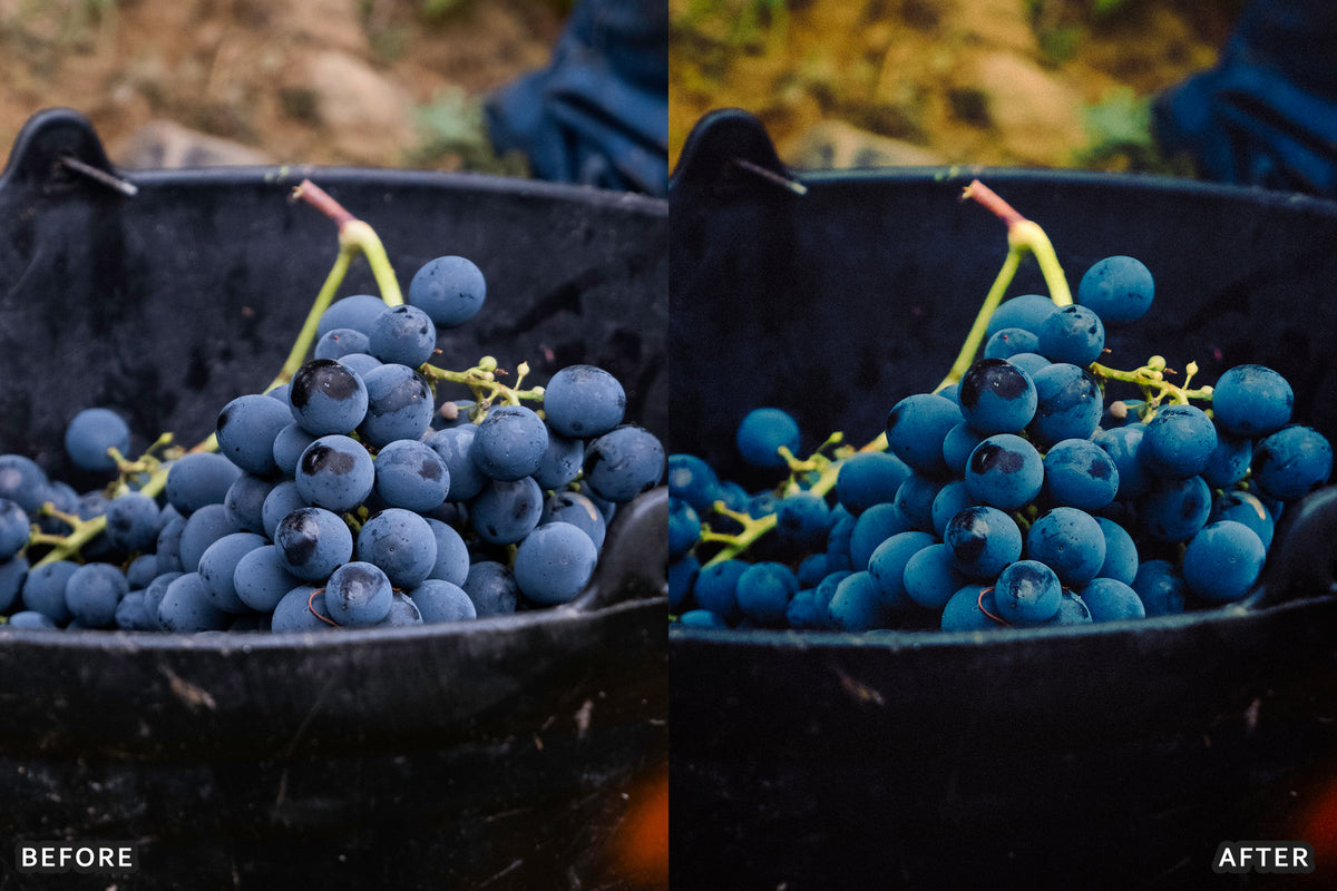 AI-Optimized Vineyard Harvest Lightroom Presets