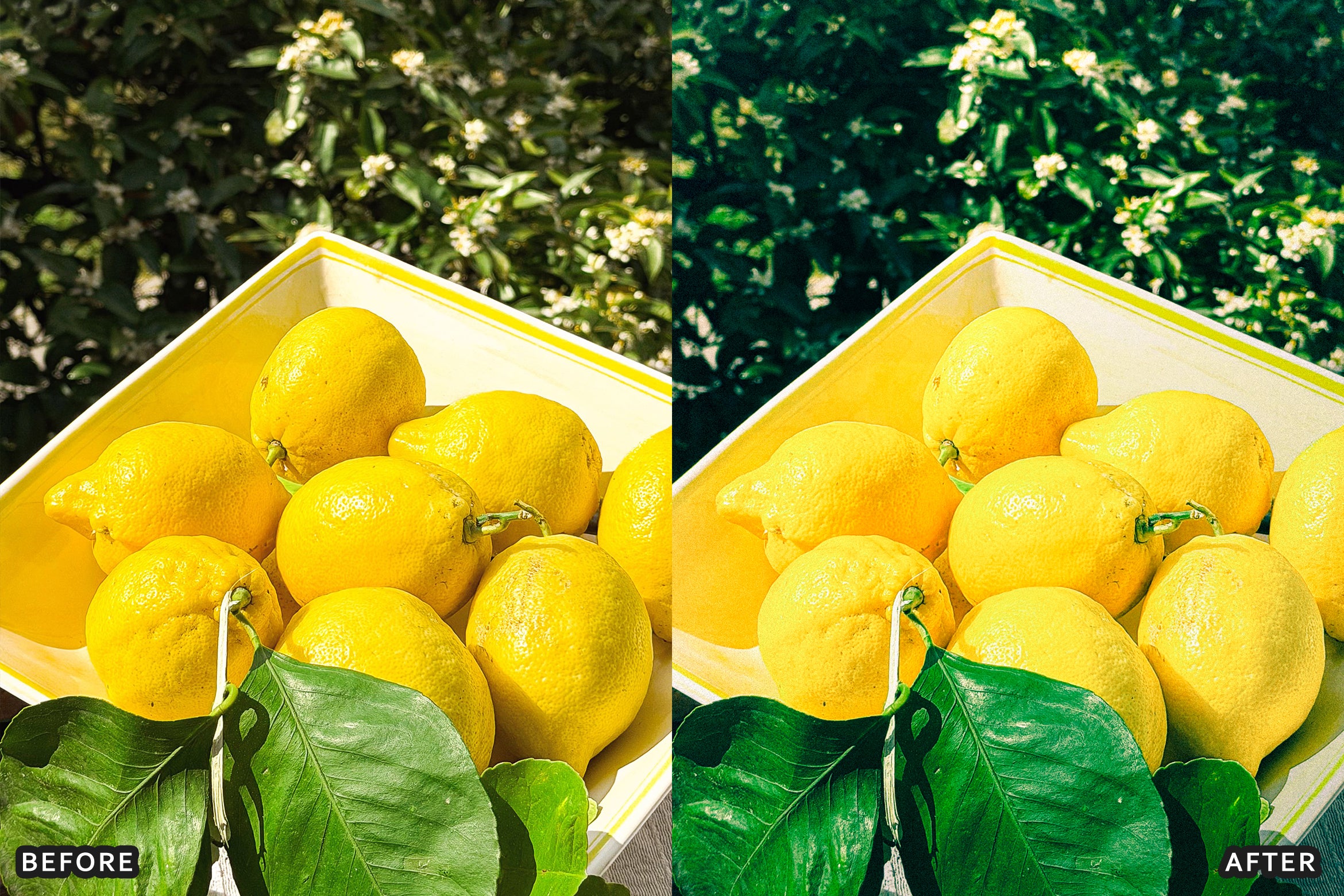 AI-Optimized Amalfi Lemon Lightroom Presets