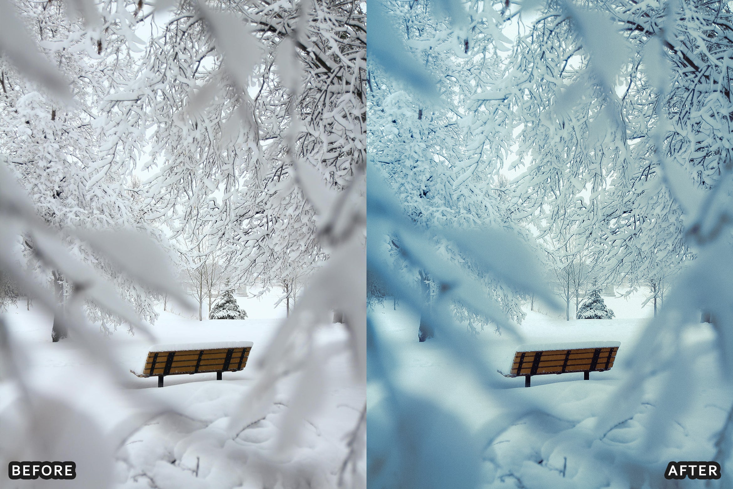 AI-Optimized Winter Snow Landscape Lightroom Presets - Lightroom Presets - by AAA Presets