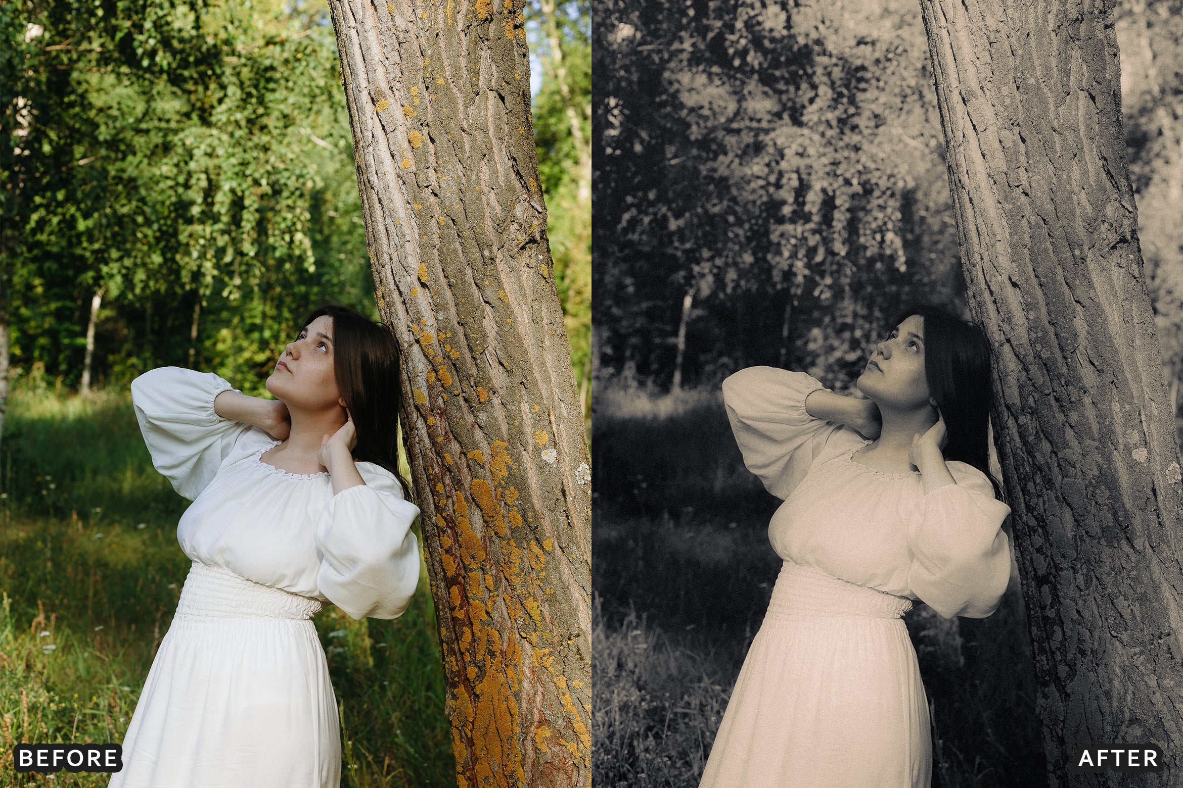 AI-Optimized Luxury Black and White Lightroom Presets