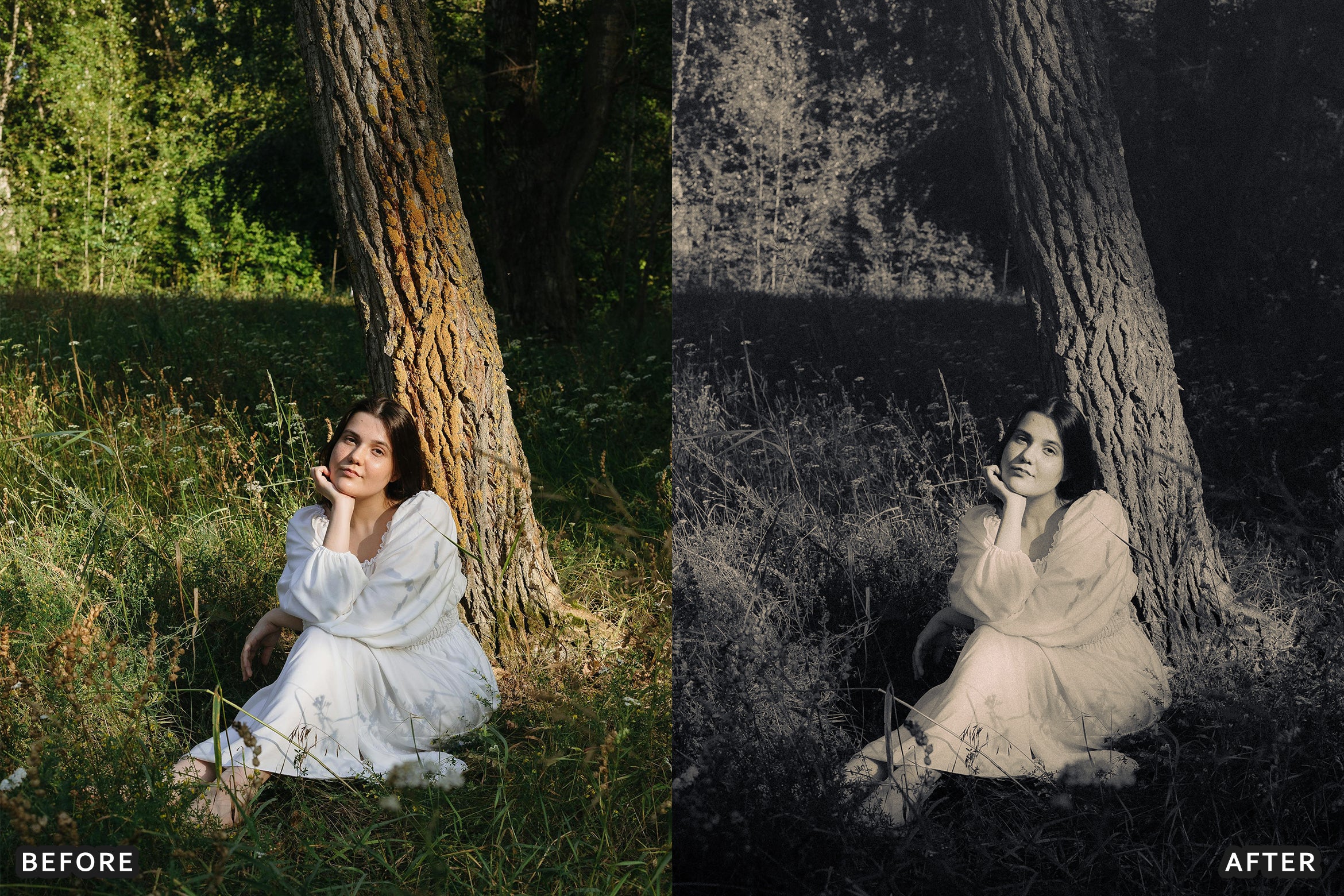 AI-Optimized Luxury Black and White Lightroom Presets