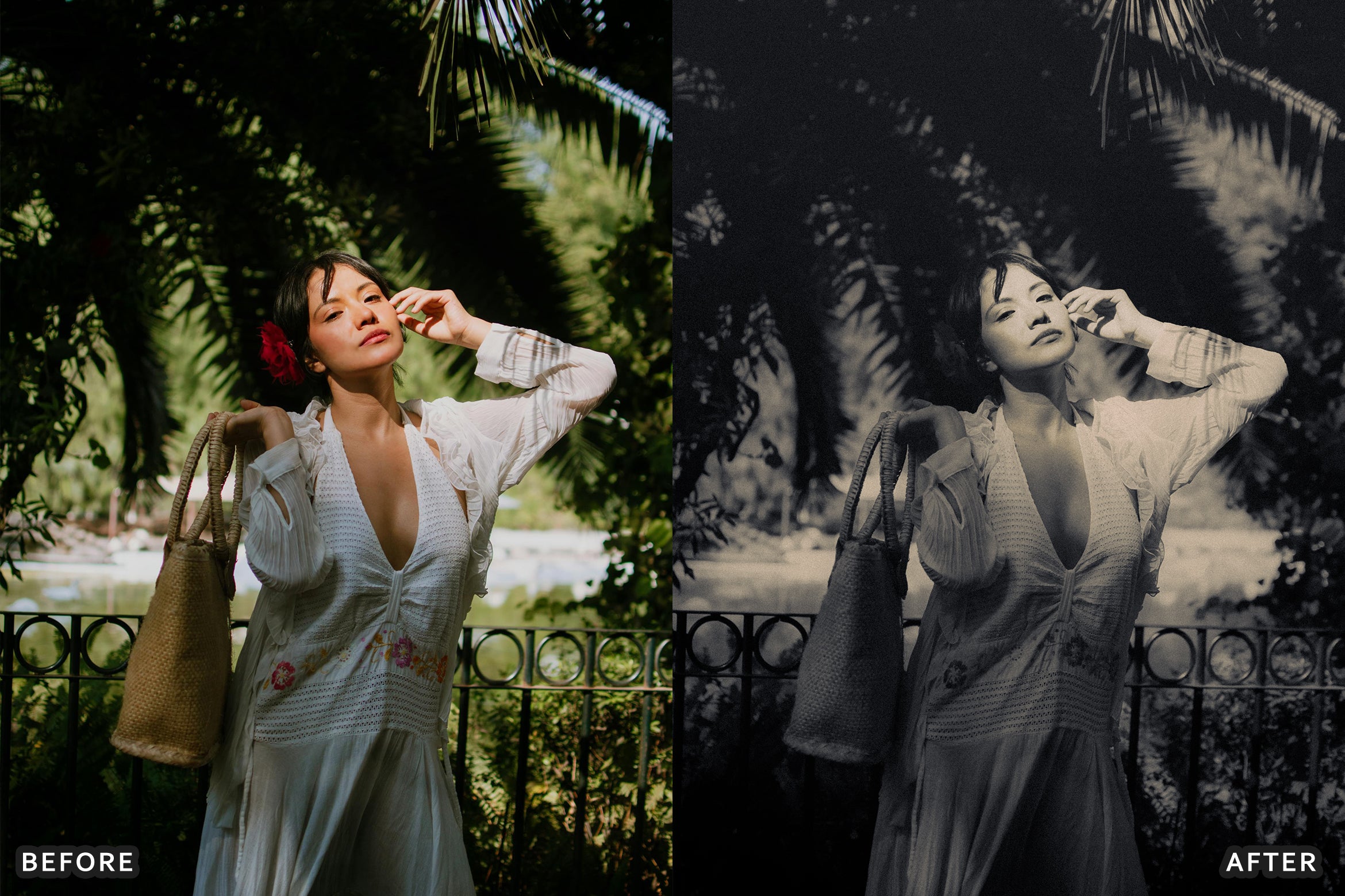 AI-Optimized Luxury Black and White Lightroom Presets