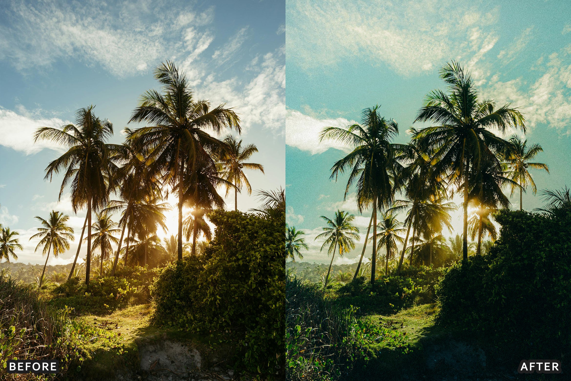 AI-Optimized Tropical Beach Lightroom Presets
