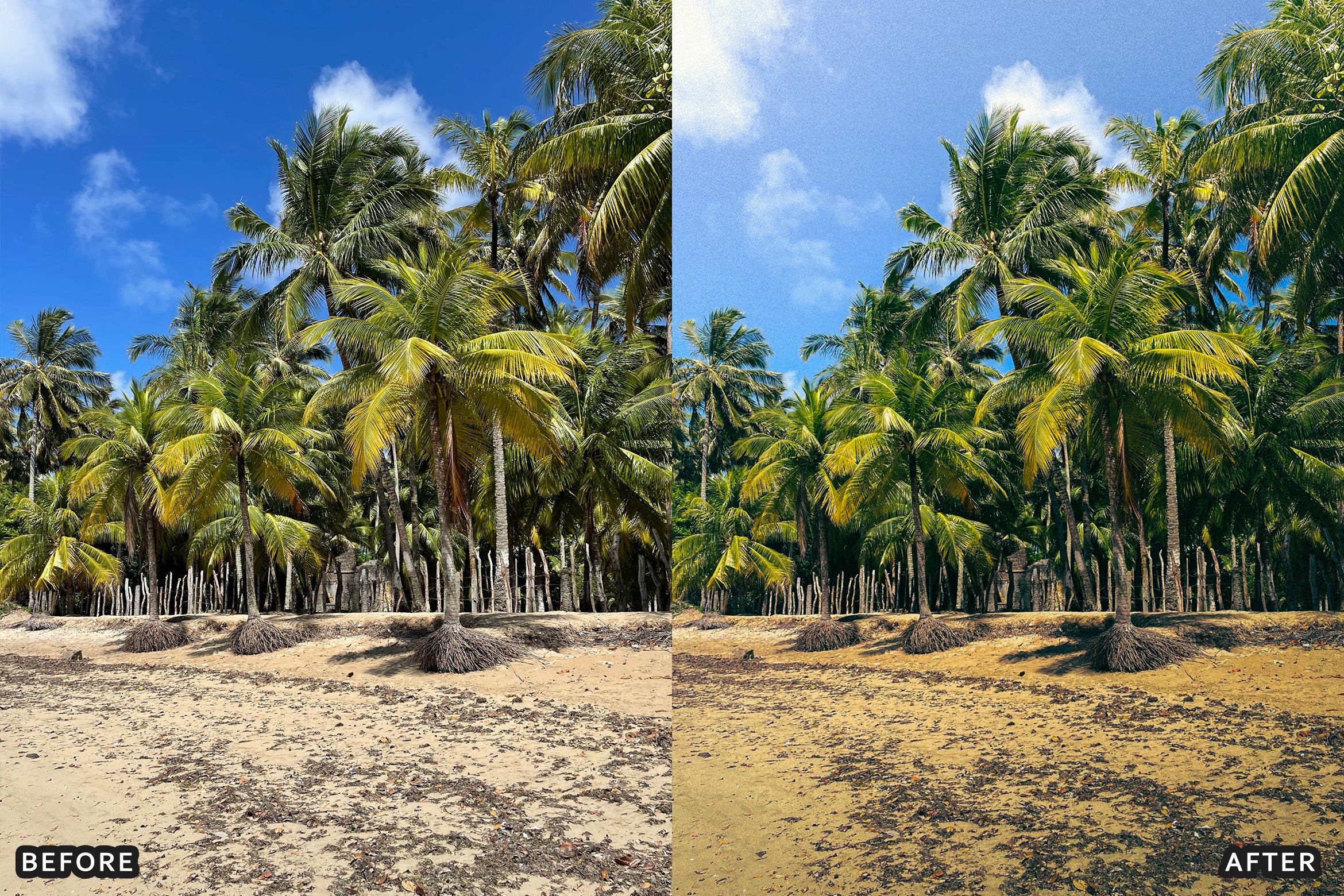 AI-Optimized Tropical Beach Lightroom Presets