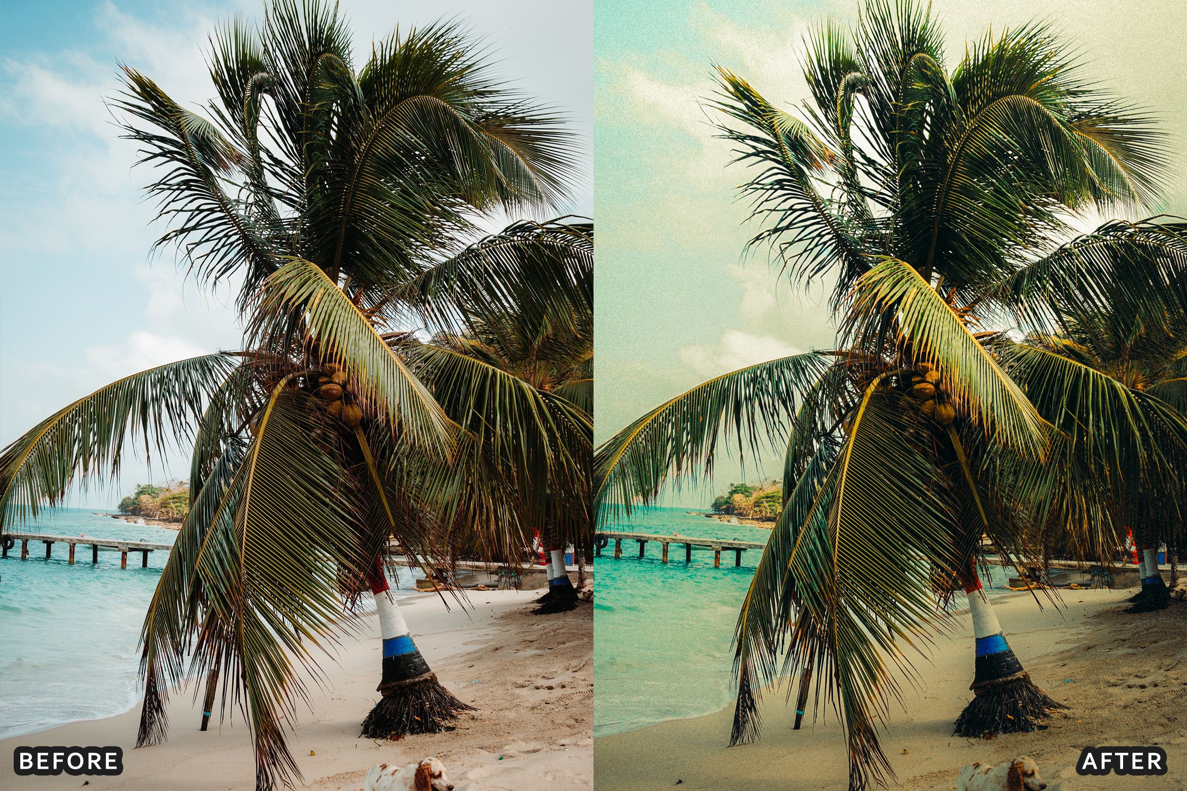AI-Optimized Tropical Beach Lightroom Presets