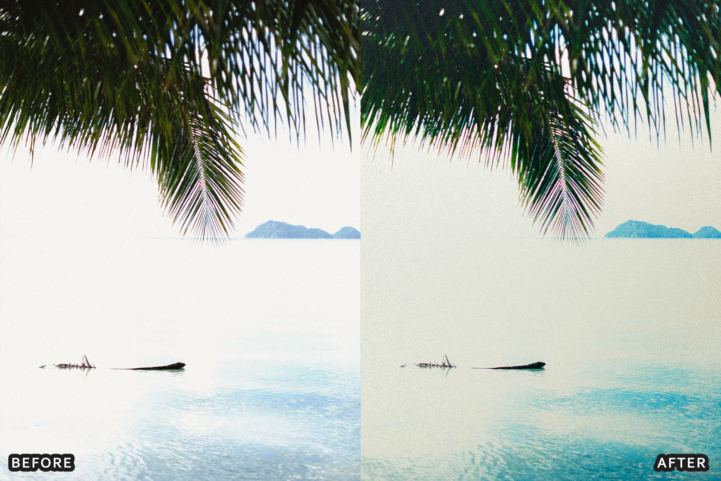 AI-Optimized Tropical Beach Lightroom Presets