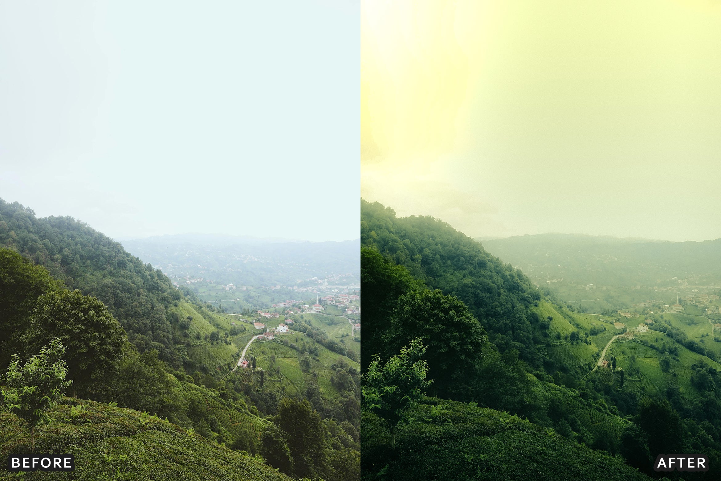 AI-Optimized Foggy Morning Lightroom Presets