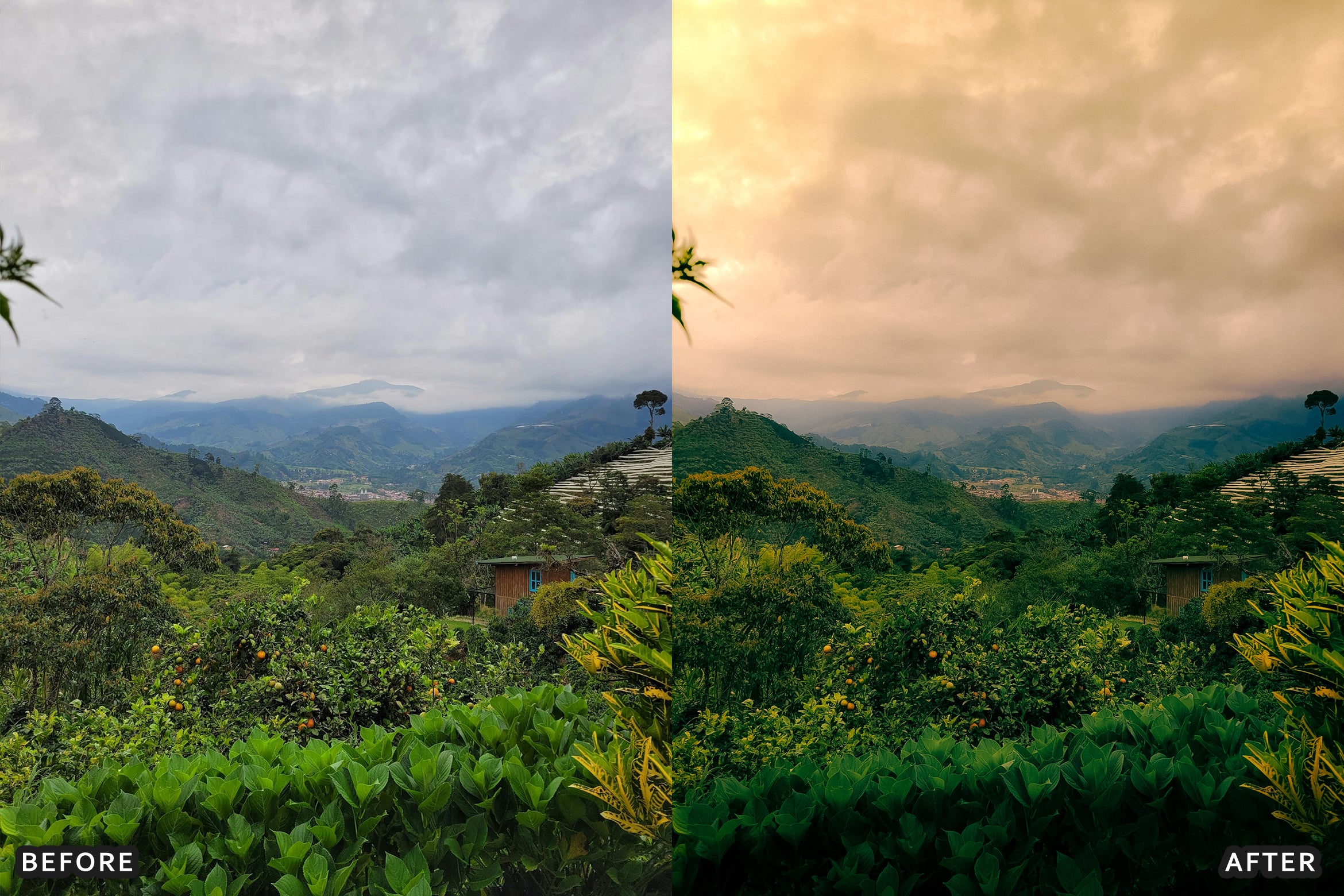 AI-Optimized Foggy Morning Lightroom Presets