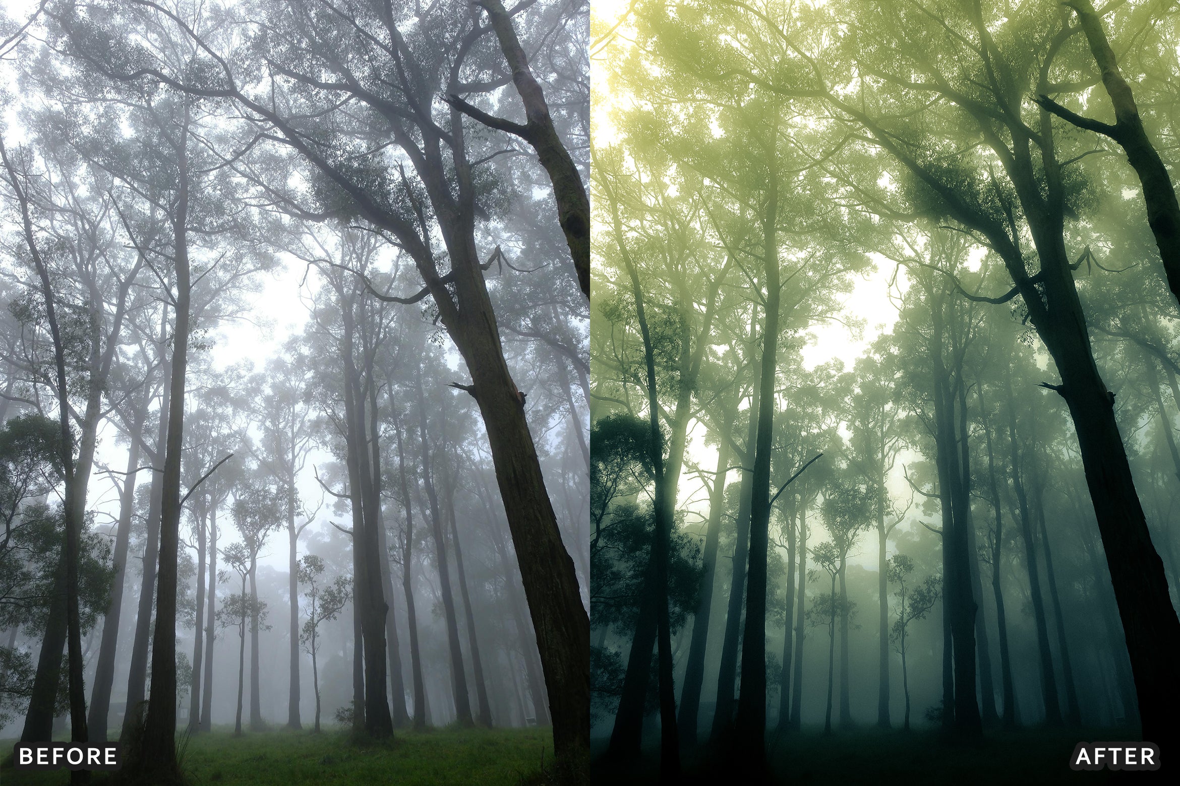AI-Optimized Foggy Morning Lightroom Presets