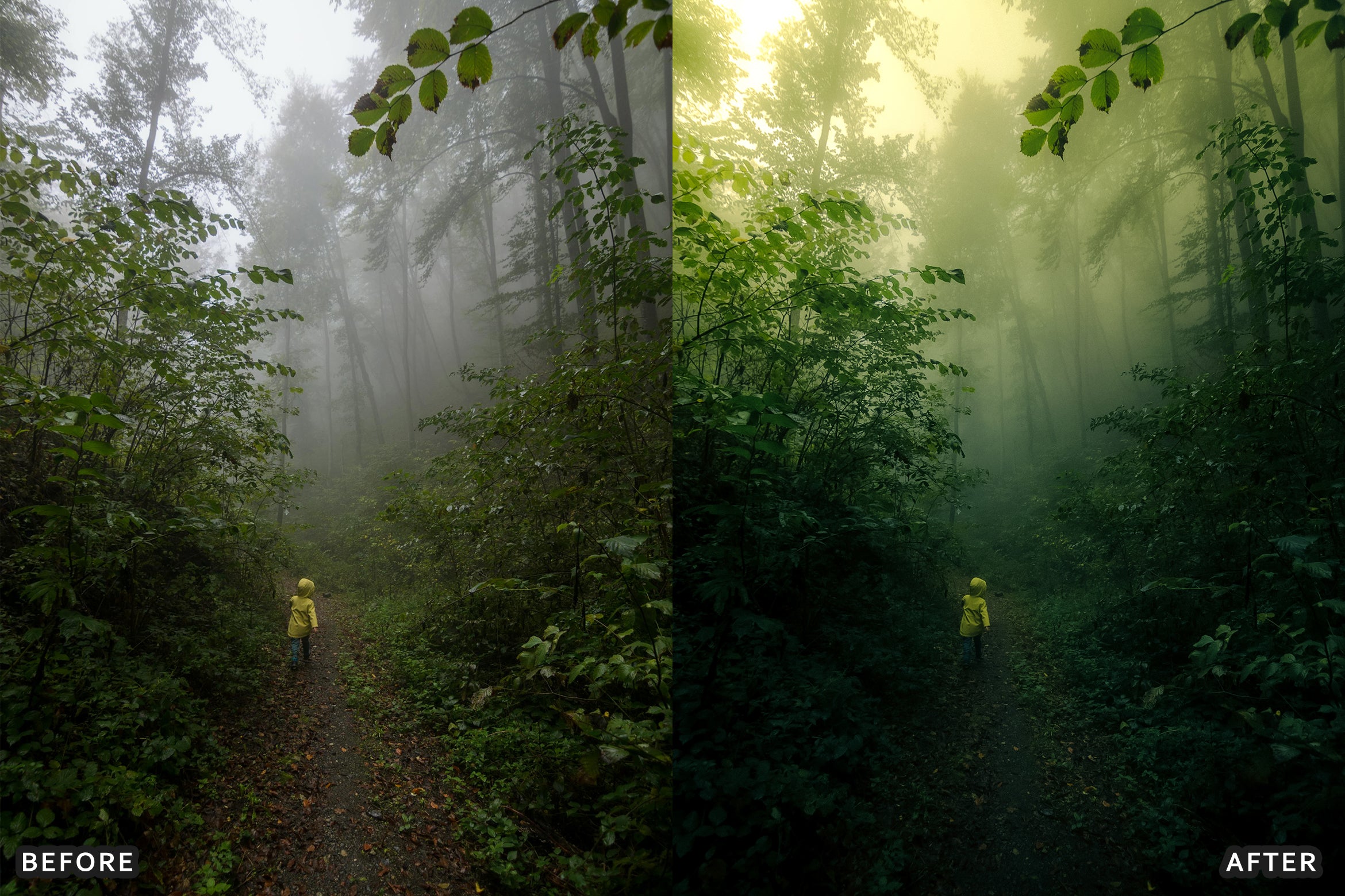 AI-Optimized Foggy Morning Lightroom Presets