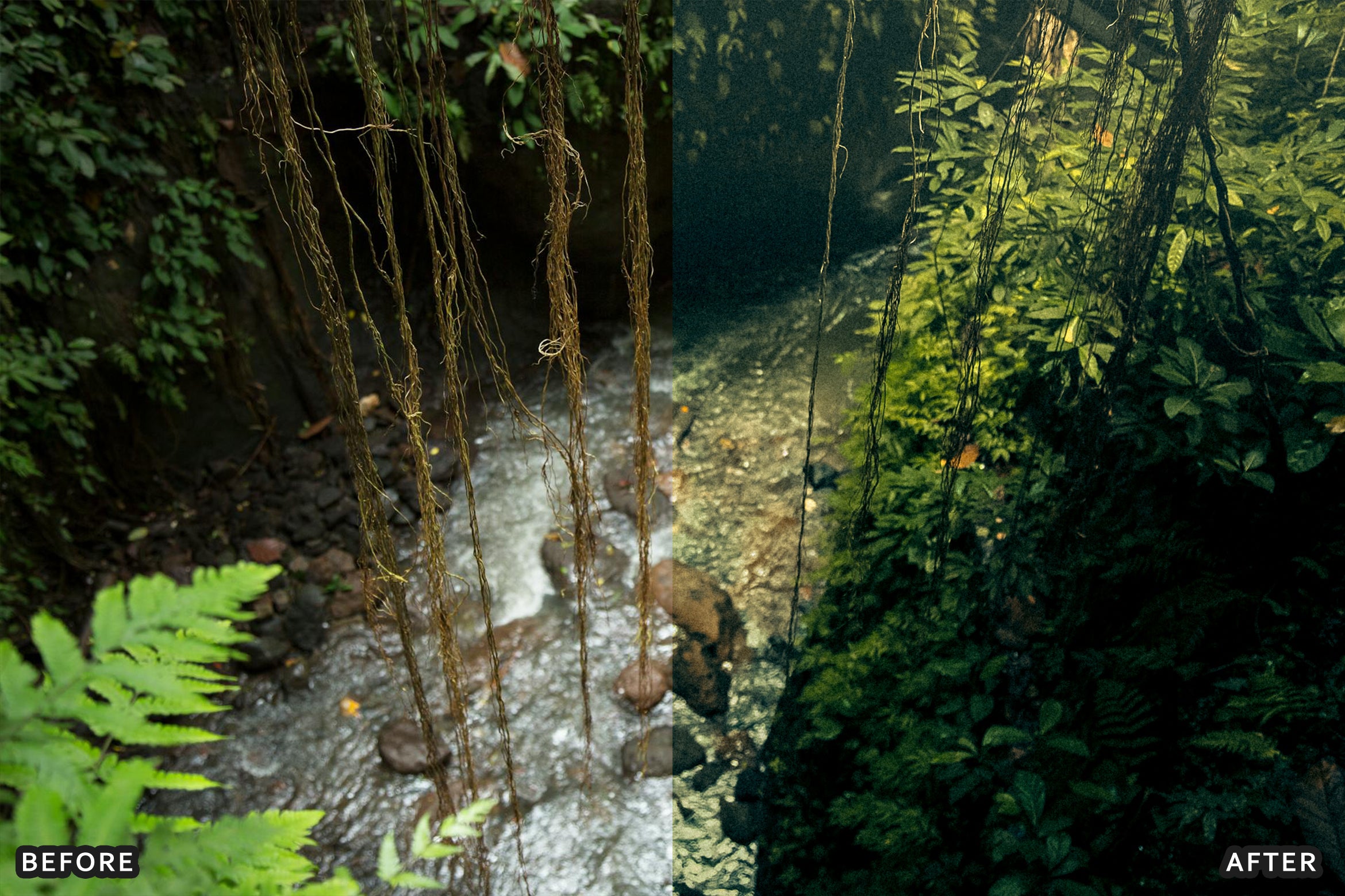 AI-Optimized Green Jungle Morning Cinematic Lightroom Presets