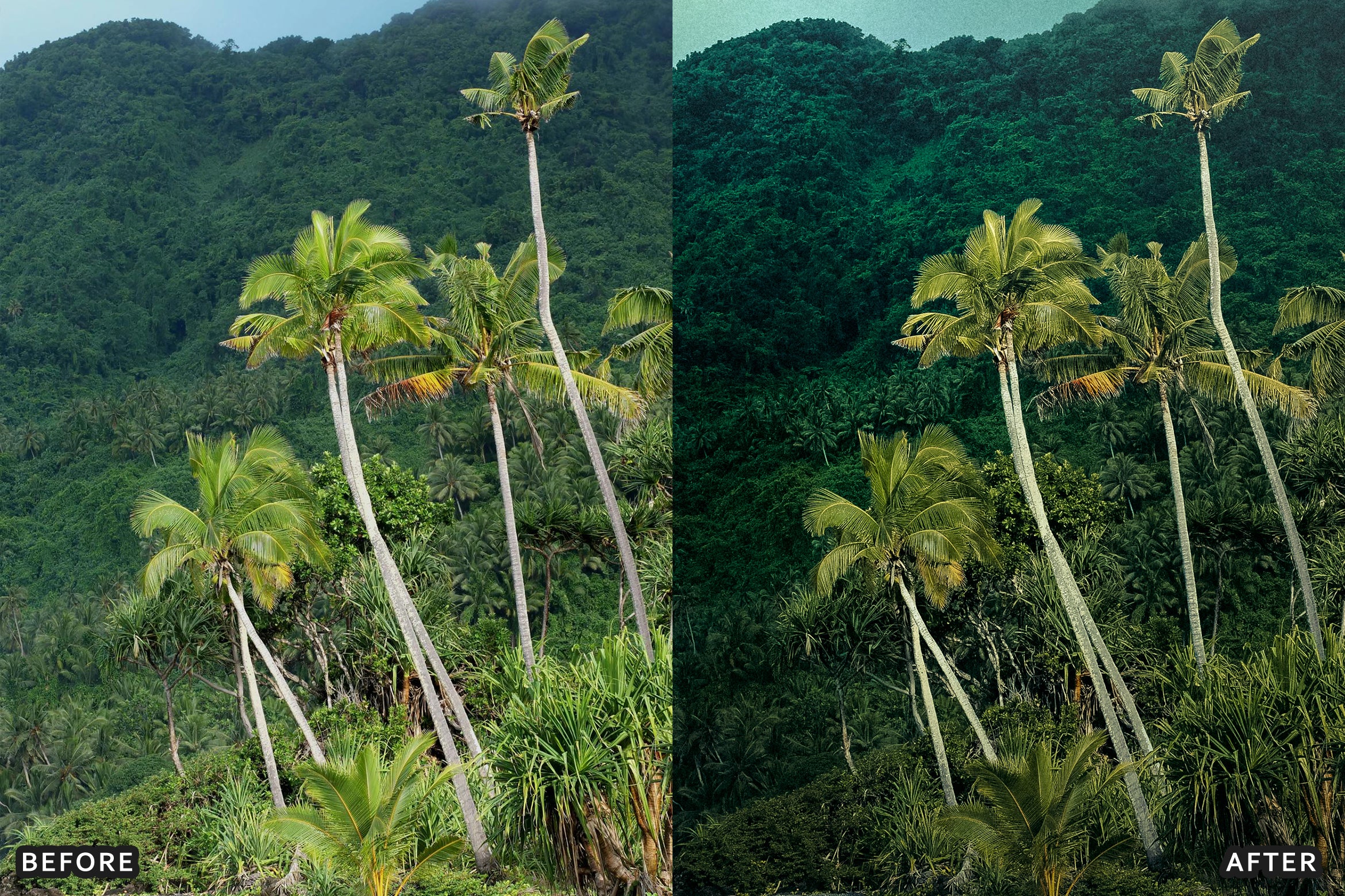 AI-Optimized Green Jungle Morning Cinematic Lightroom Presets