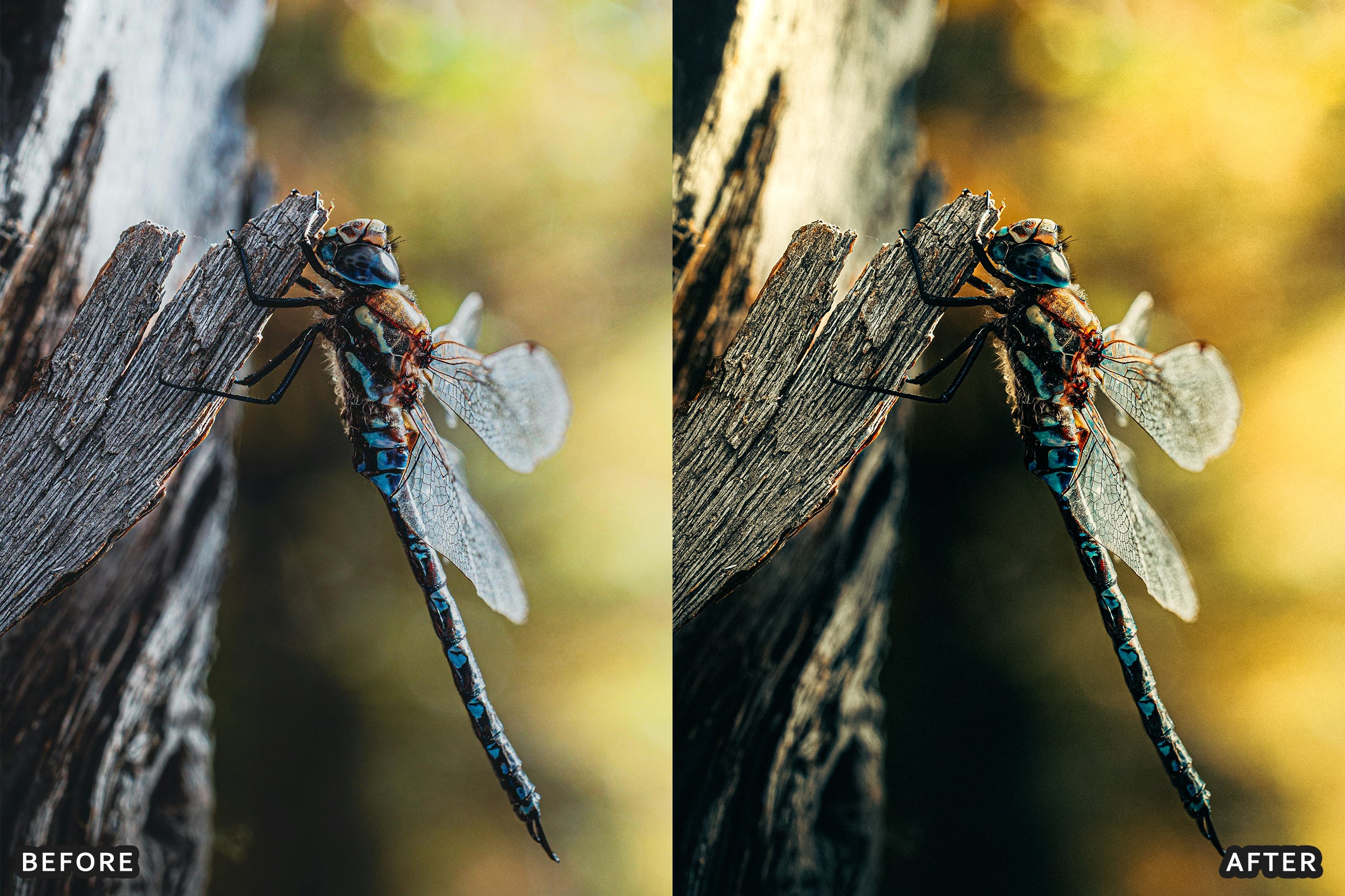 AI-Optimized Macro Photography Lightroom Preset