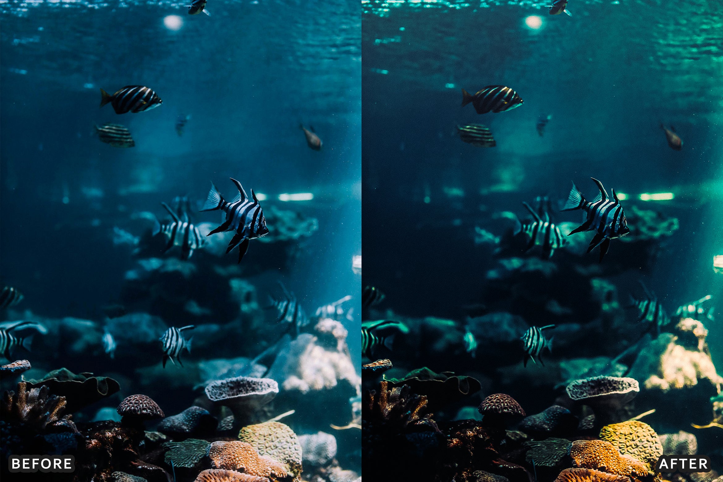 AI-Optimized Moody Underwater Lightroom Presets - Lightroom Presets - by AAA Presets