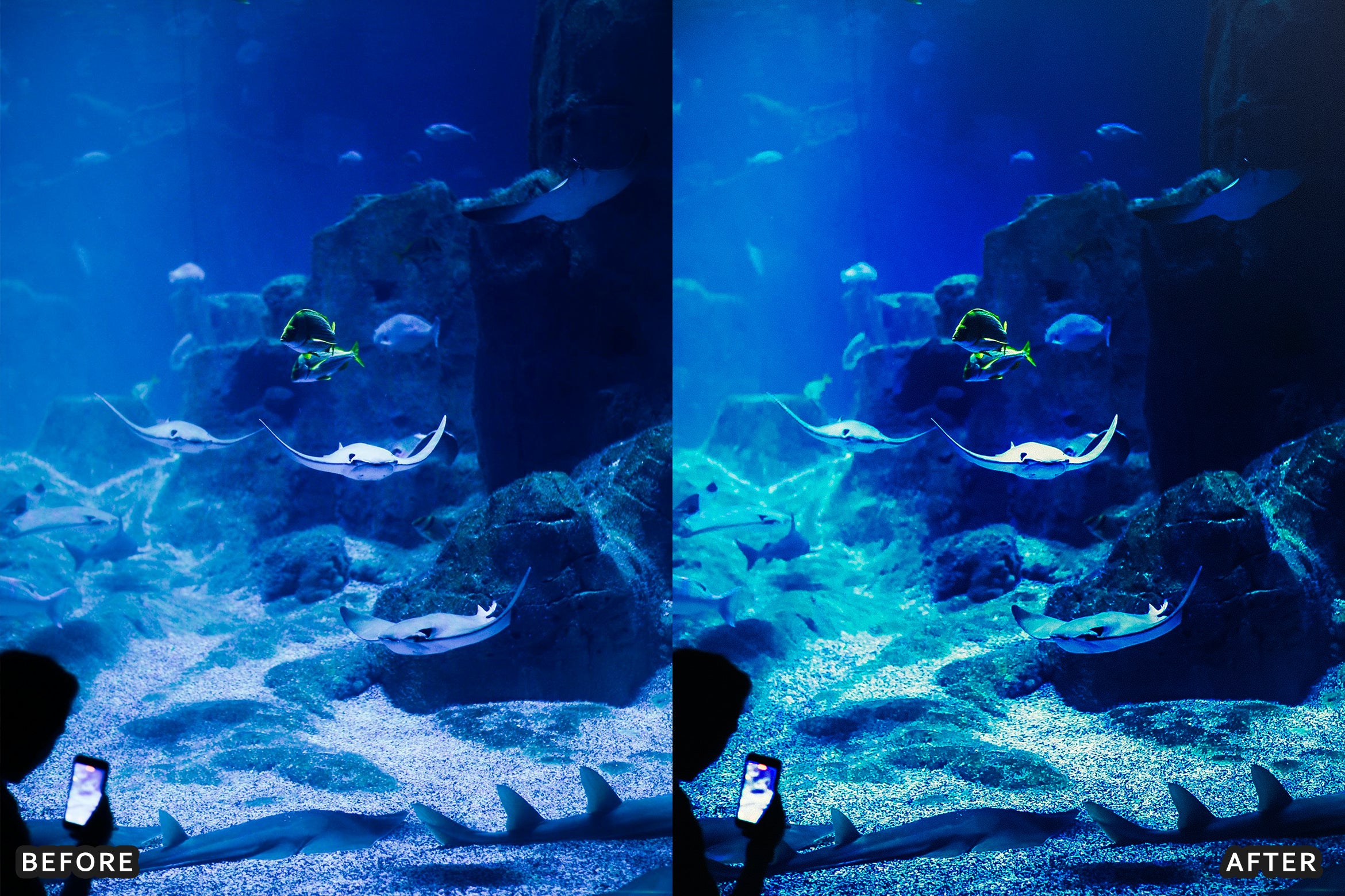 AI-Optimized Moody Underwater Lightroom Presets - Lightroom Presets - by AAA Presets