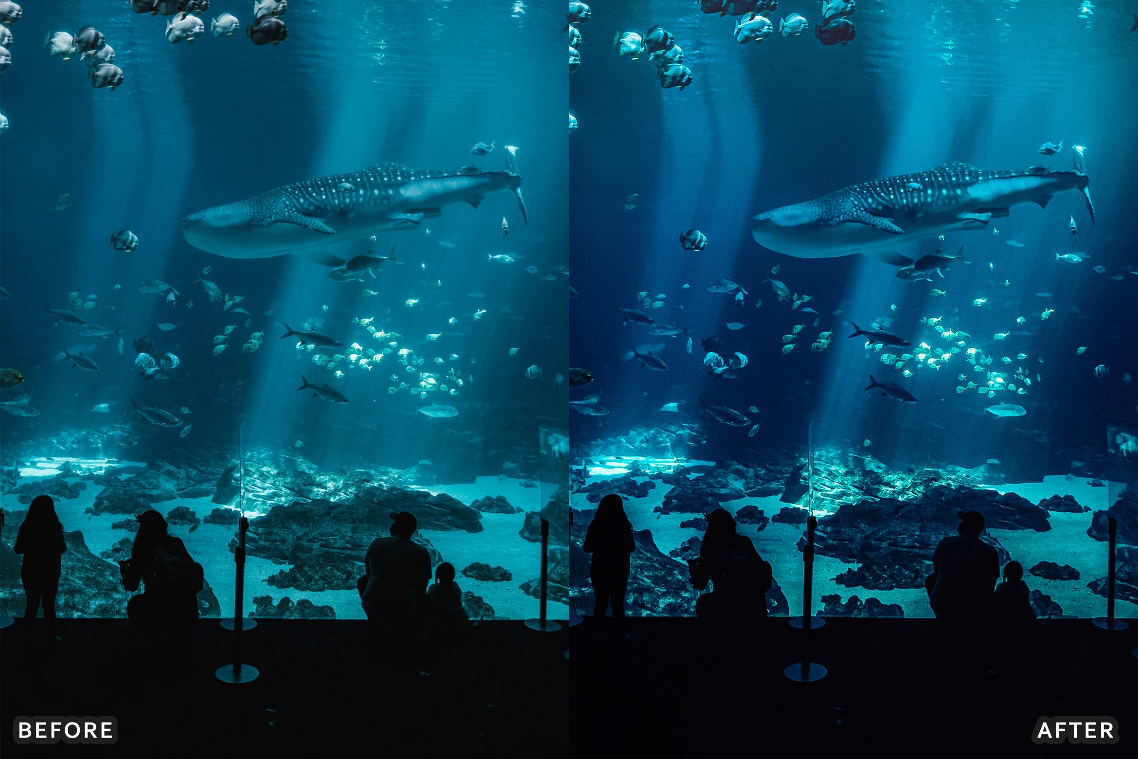 AI-Optimized Moody Underwater Lightroom Presets - Lightroom Presets - by AAA Presets