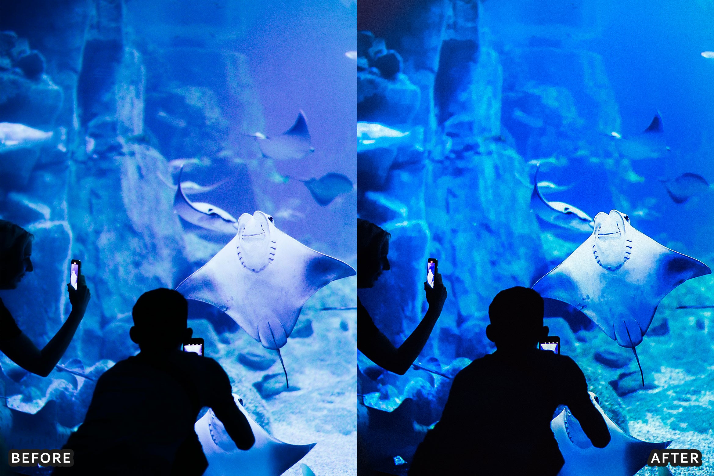 AI-Optimized Moody Underwater Lightroom Presets - Lightroom Presets - by AAA Presets