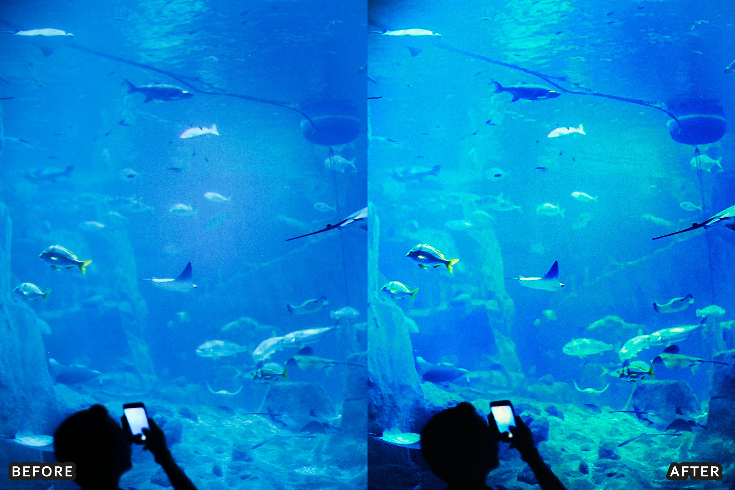 AI-Optimized Moody Underwater Lightroom Presets - Lightroom Presets - by AAA Presets