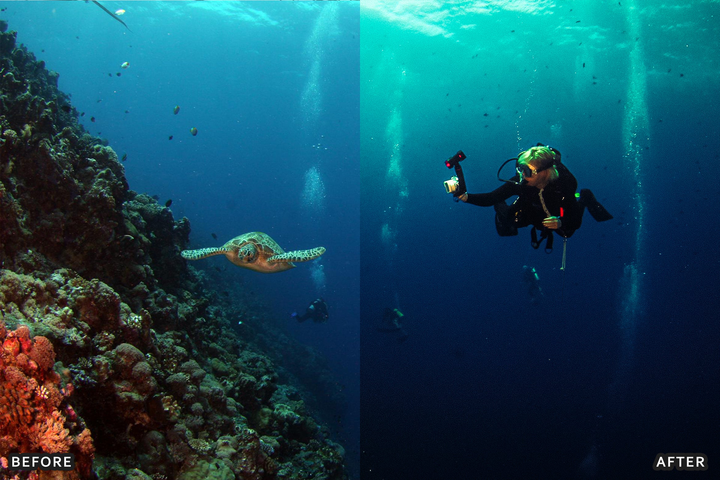 AI-Optimized Moody Underwater Lightroom Presets - Lightroom Presets - by AAA Presets