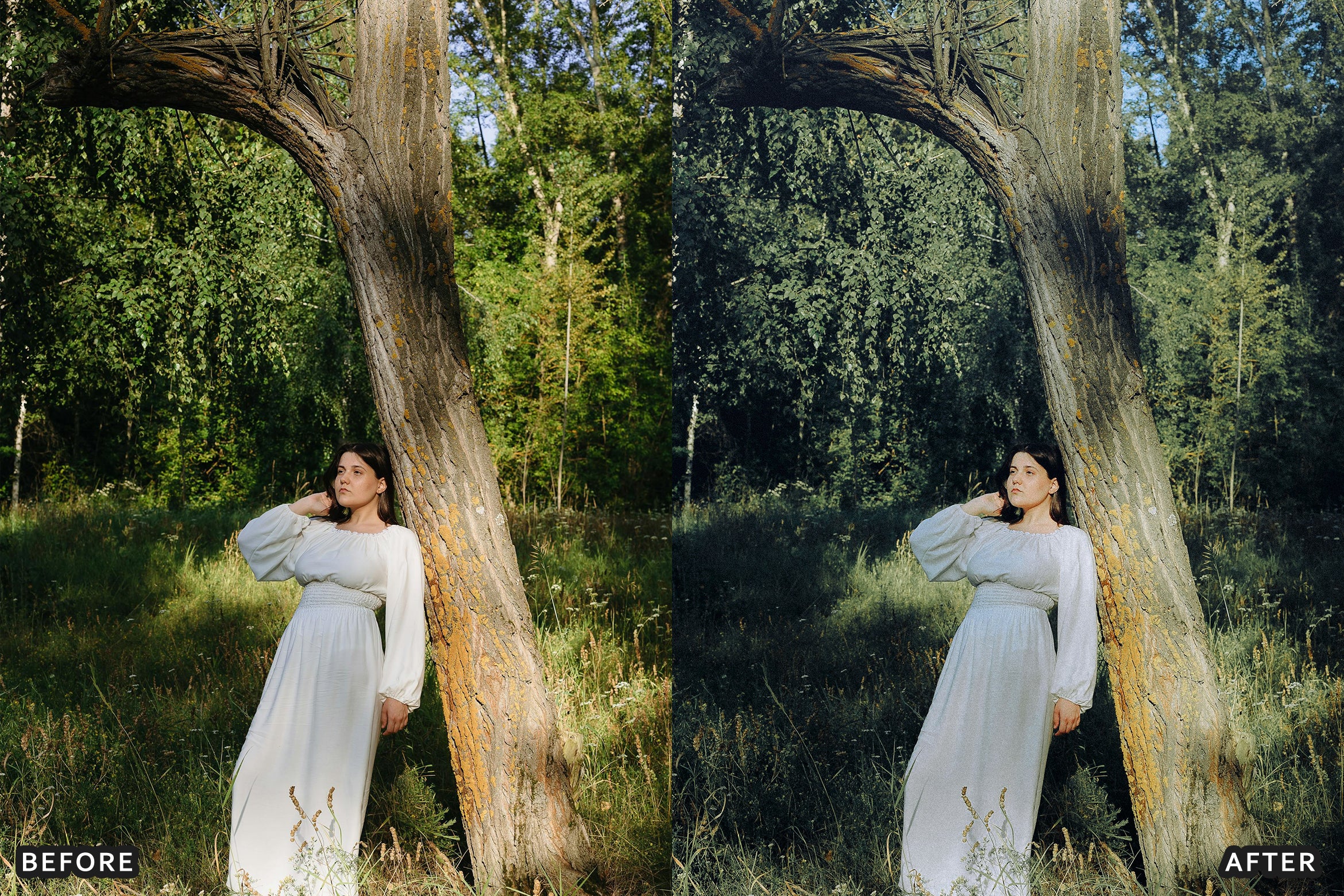 AI-Optimized Morning Garden Bright Cinematic Lightroom Presets - Lightroom Presets - by AAA Presets