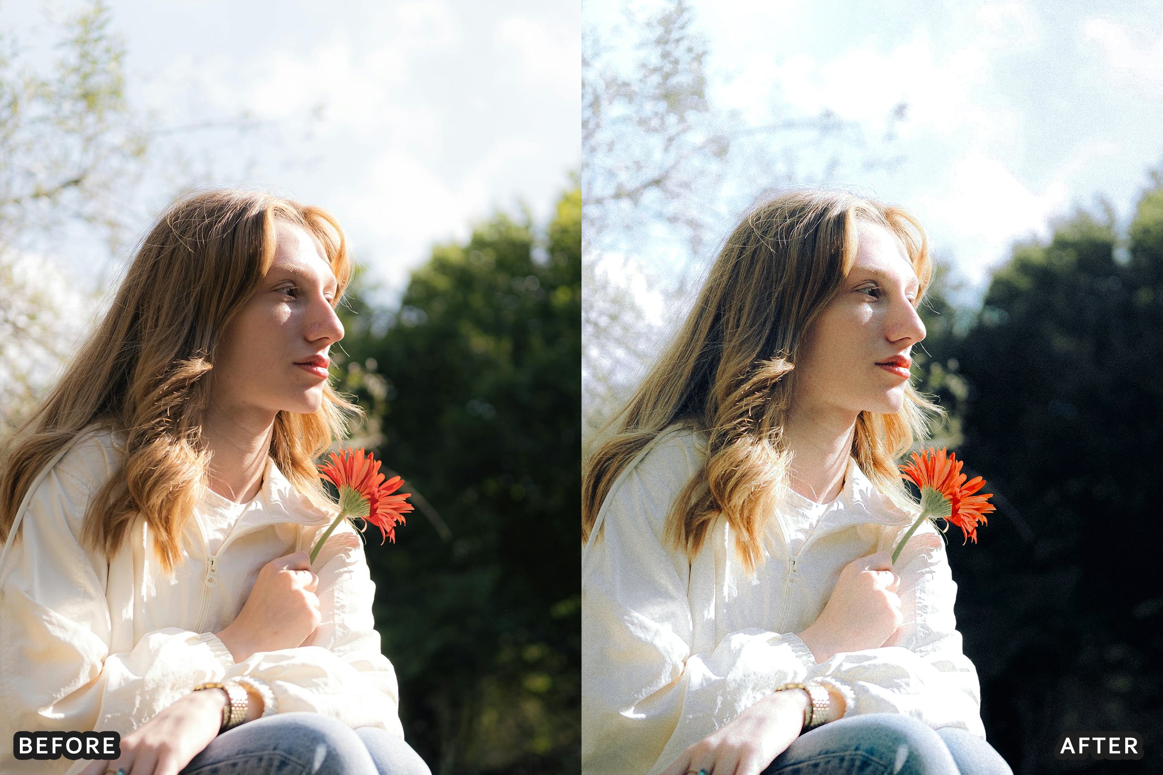 AI-Optimized Morning Garden Bright Cinematic Lightroom Presets - Lightroom Presets - by AAA Presets