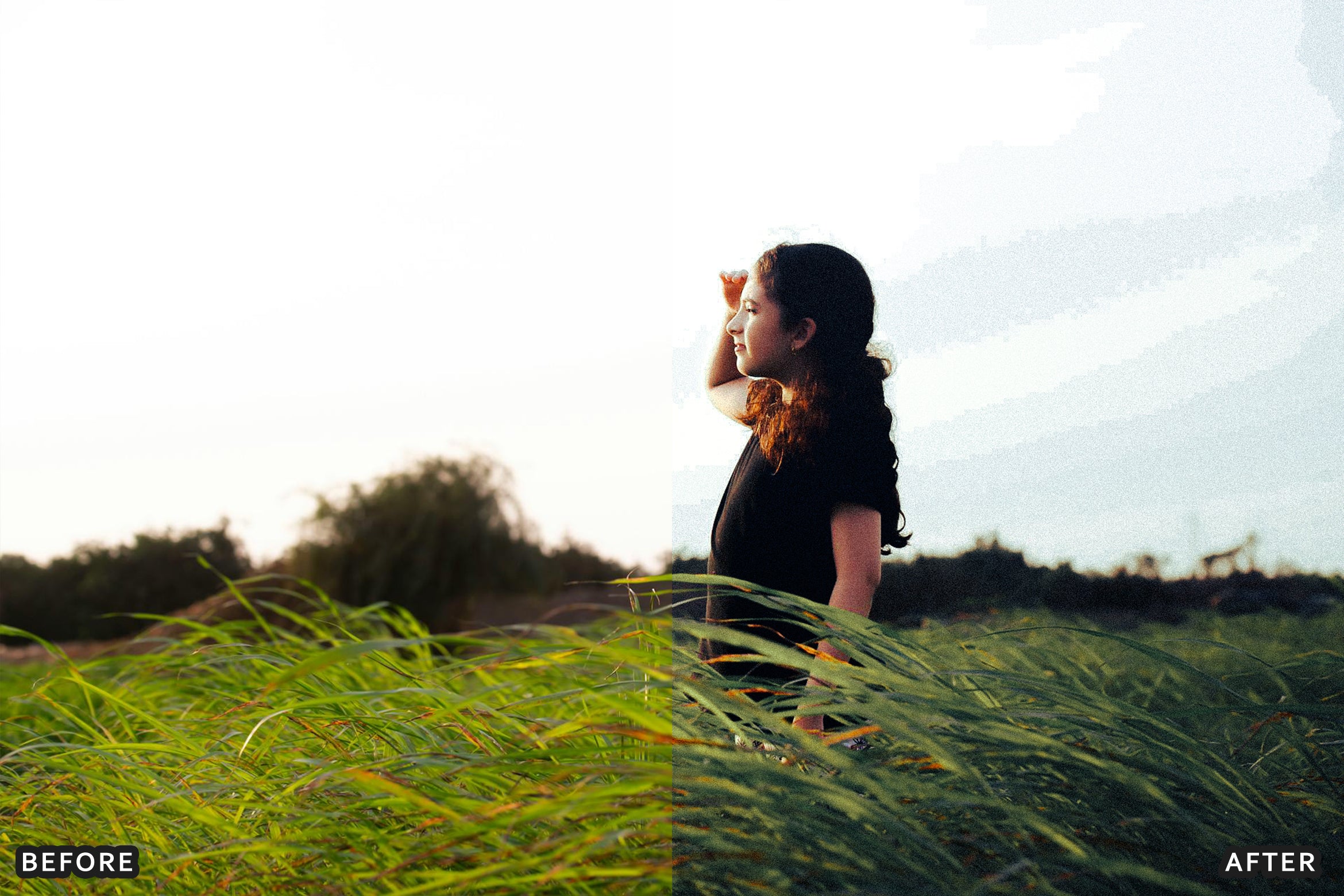 AI-Optimized Morning Garden Bright Cinematic Lightroom Presets - Lightroom Presets - by AAA Presets