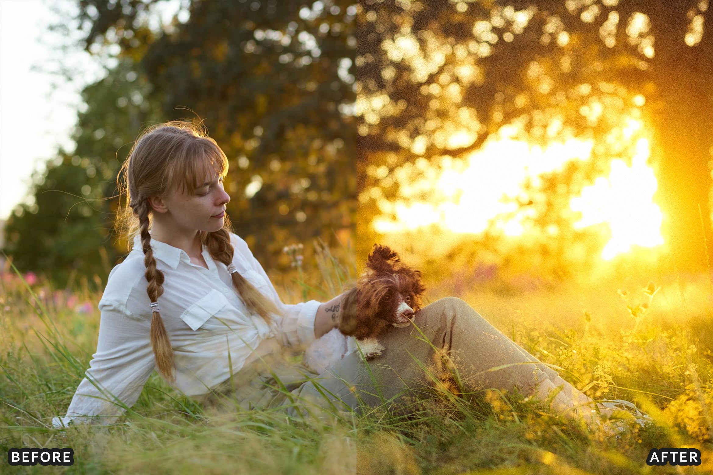 AI-Optimized New Season Glow Lightroom Presets