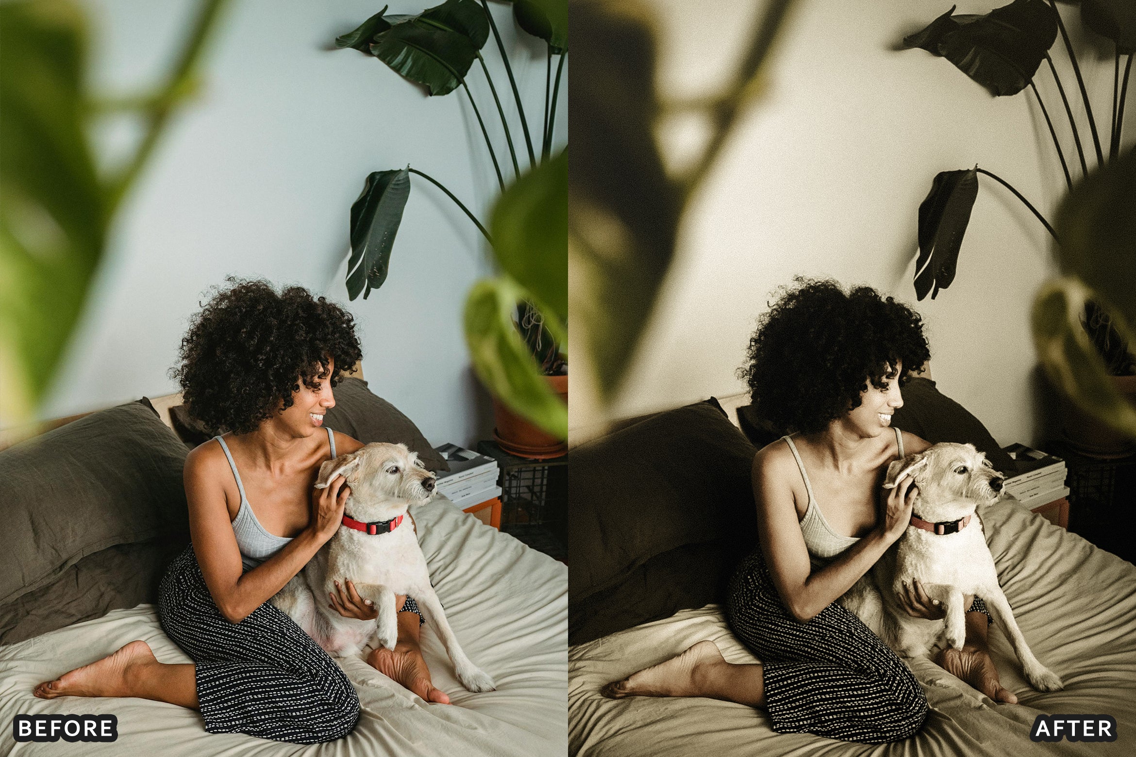AI-Optimized Vintage Old Film Air Lightroom Presets