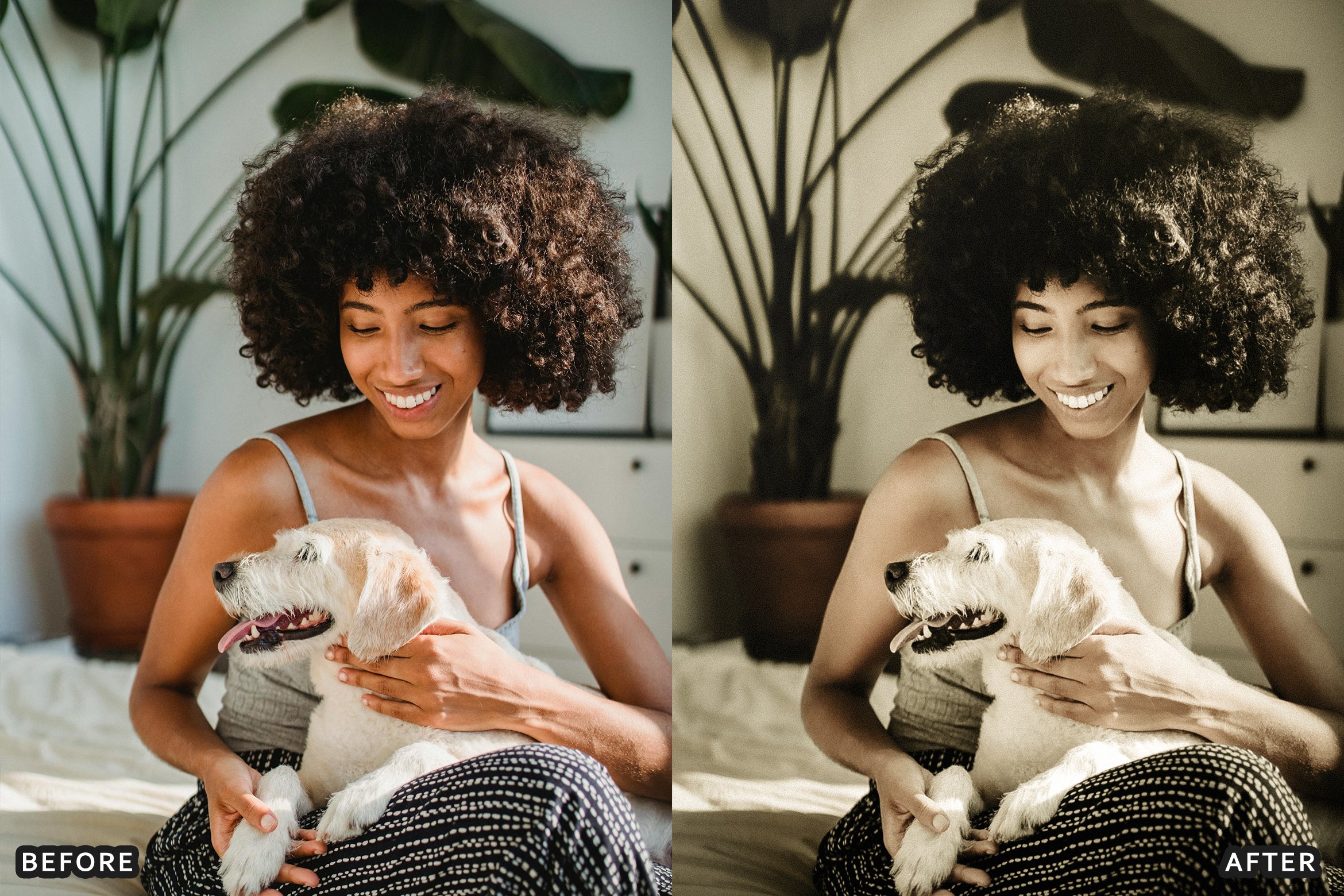 AI-Optimized Vintage Old Film Air Lightroom Presets