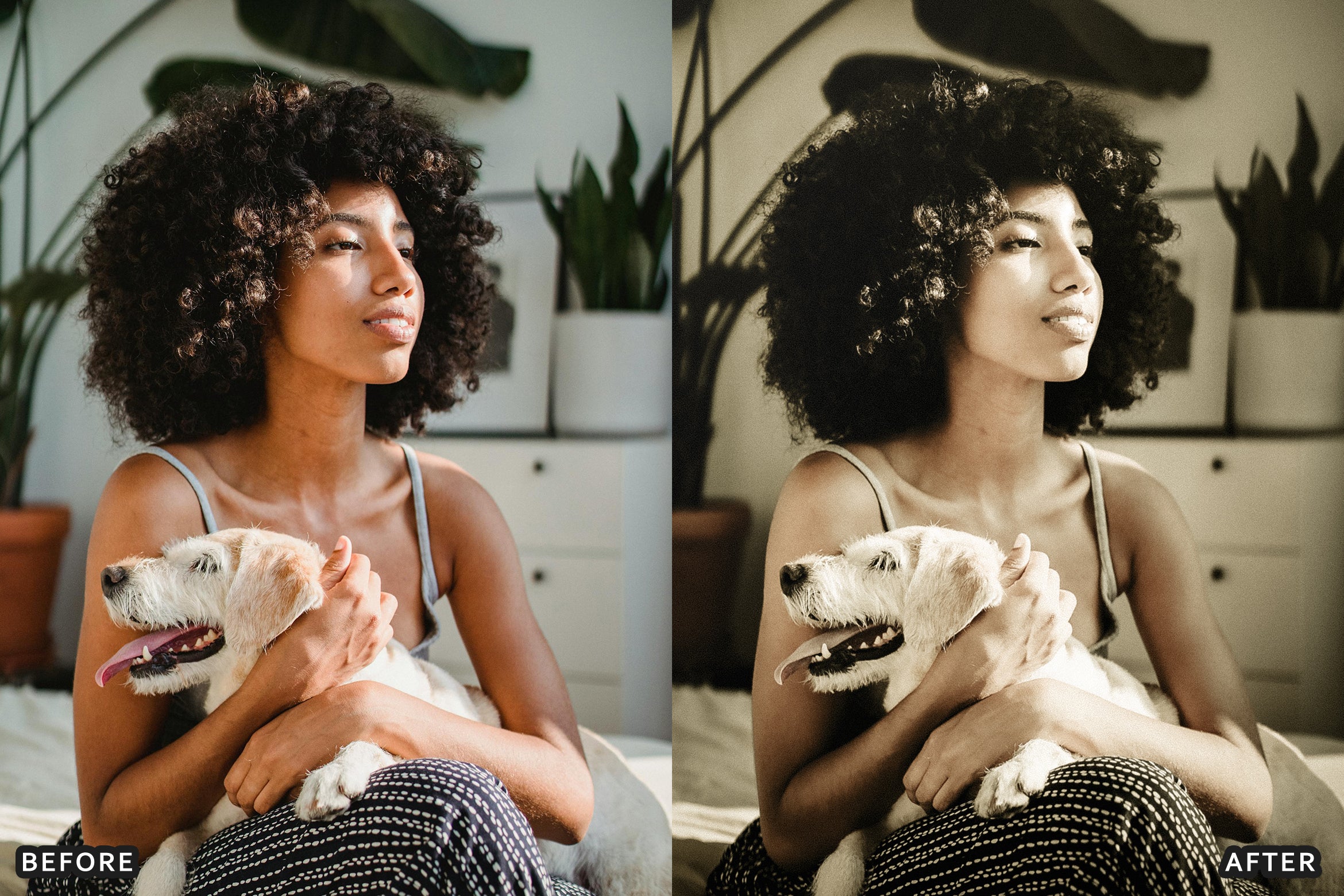 AI-Optimized Vintage Old Film Air Lightroom Presets