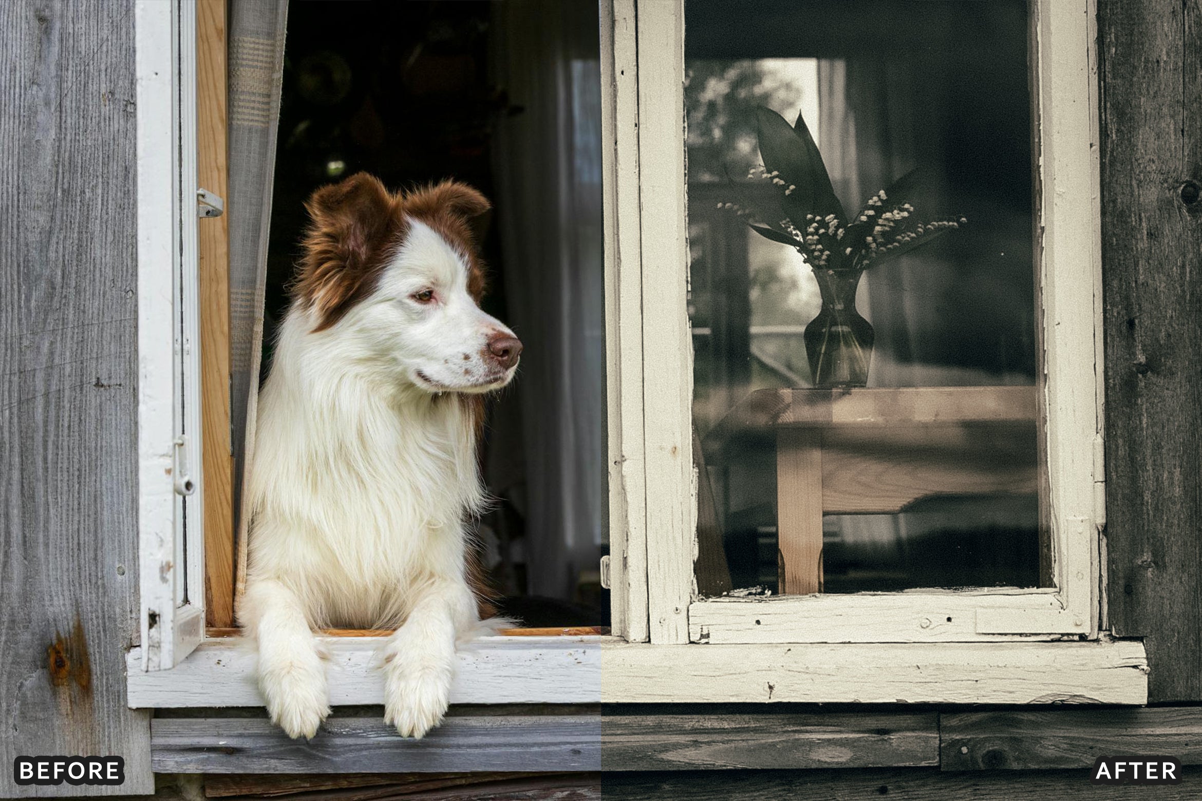 AI-Optimized Vintage Old Film Air Lightroom Presets