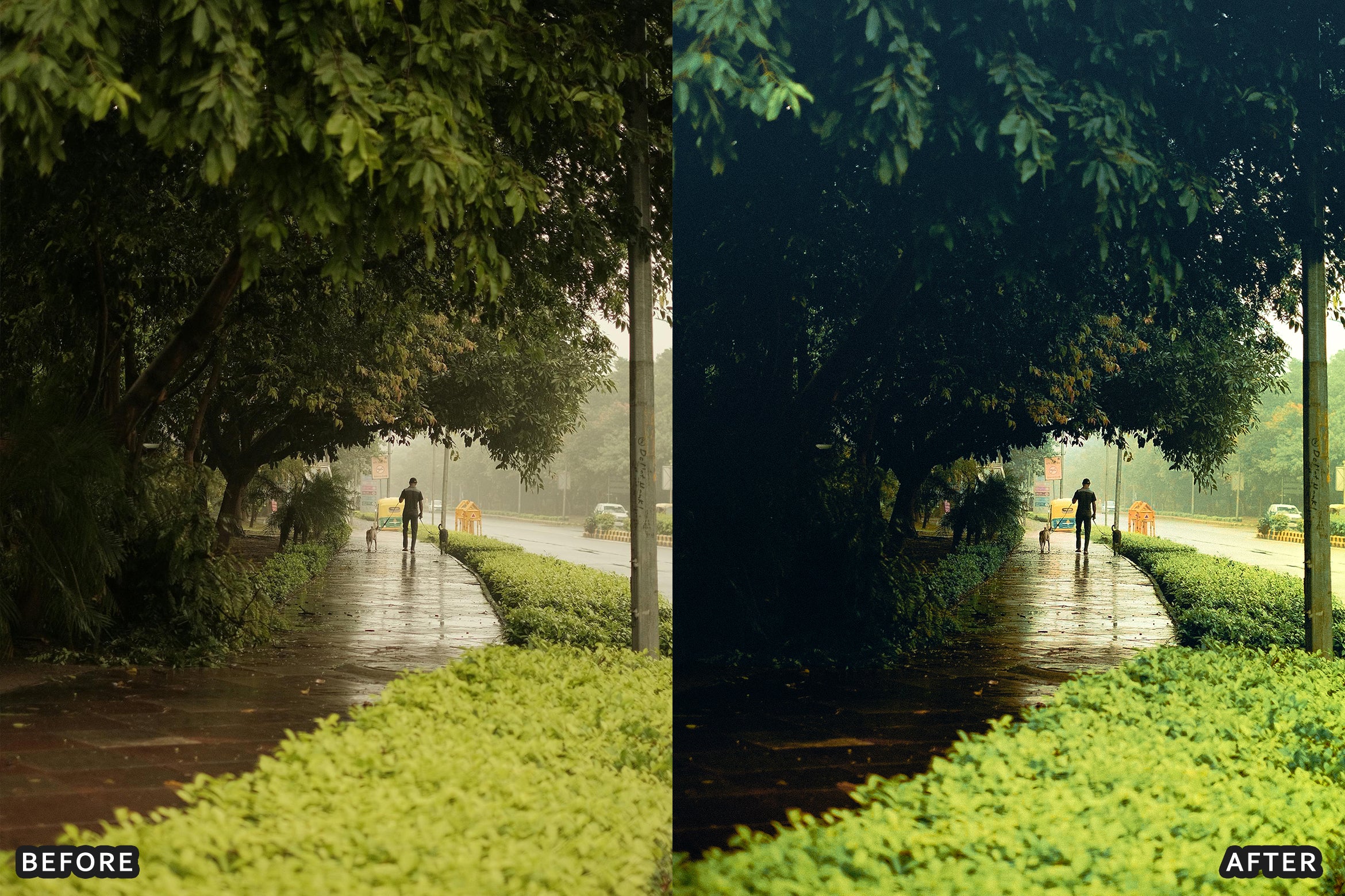 AI-Optimized Rainy Street Film Lightroom Presets