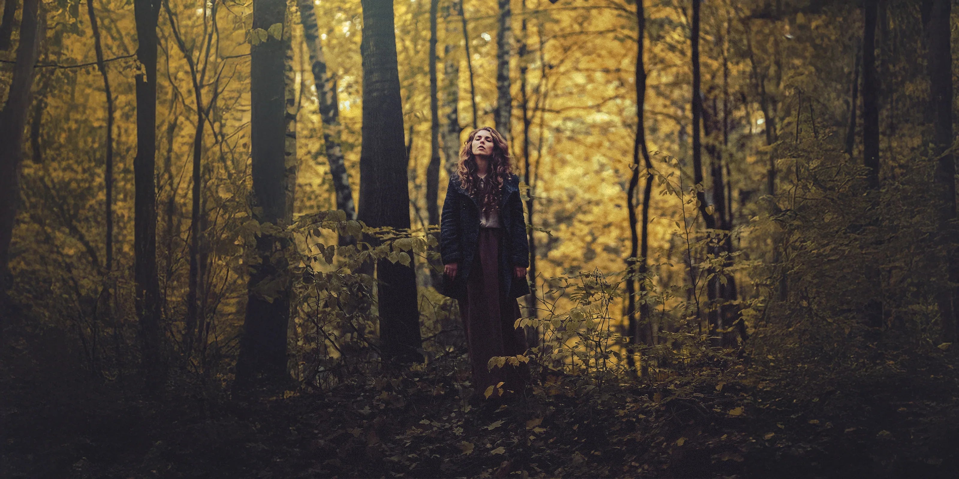 Cinematic Luts & Lightroom presets by AAA Presets