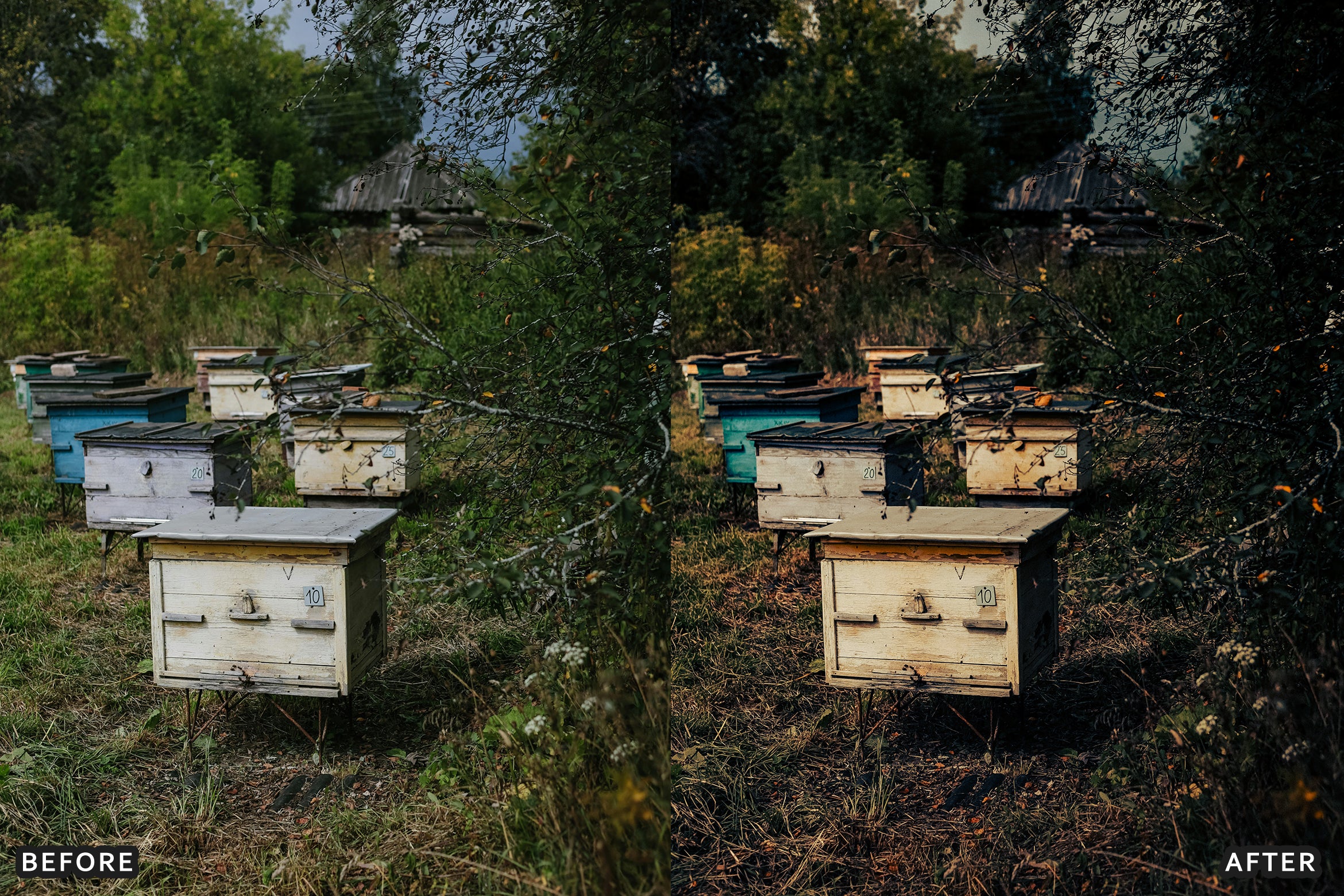 AI-Optimized Cinematic Travel Landscape Wanderlust Lightroom Presets - Lightroom Presets - by AAA Presets